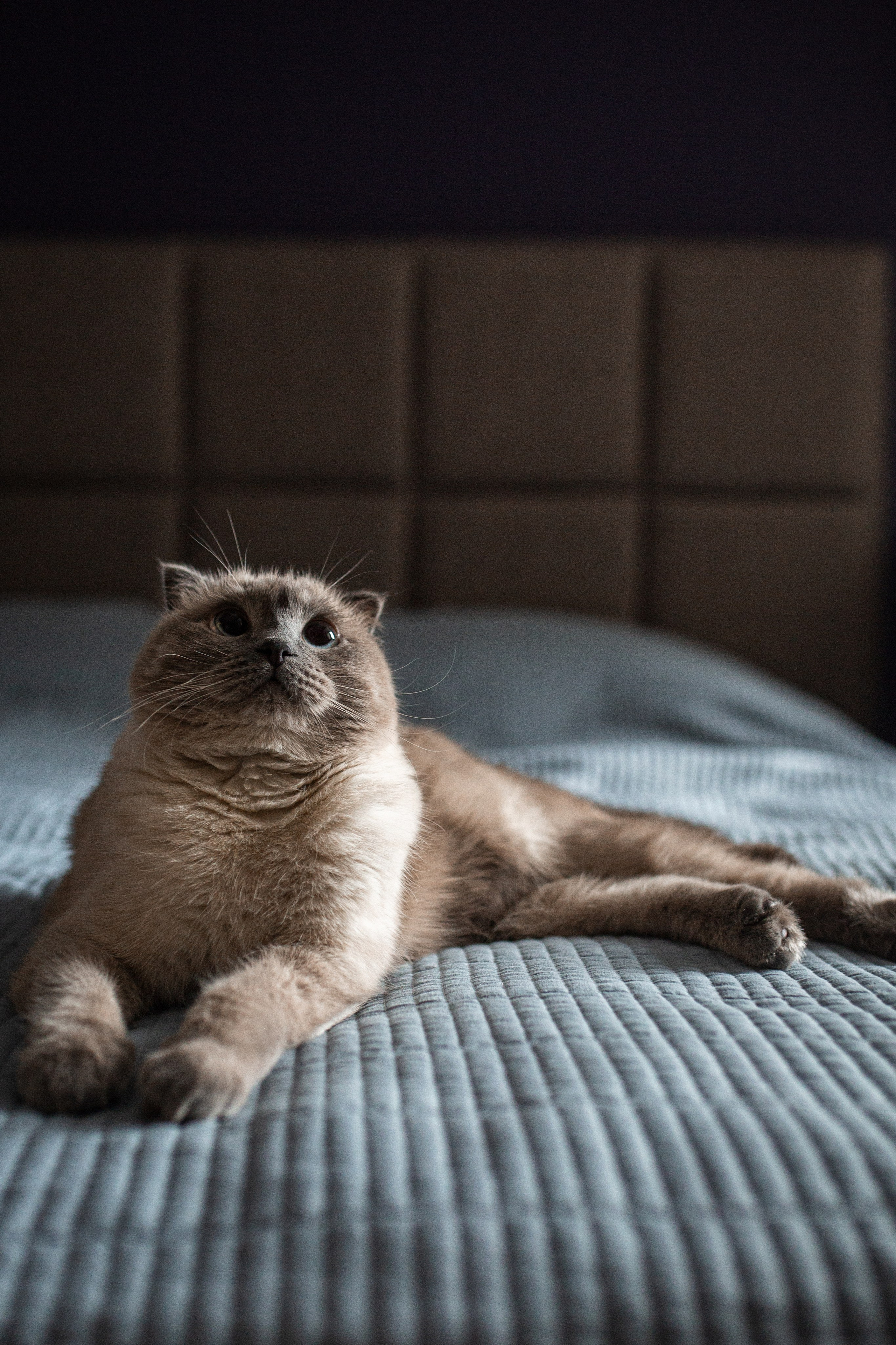 Ты-моя Вселенная🖤. Фотограф Санкт-Петербург