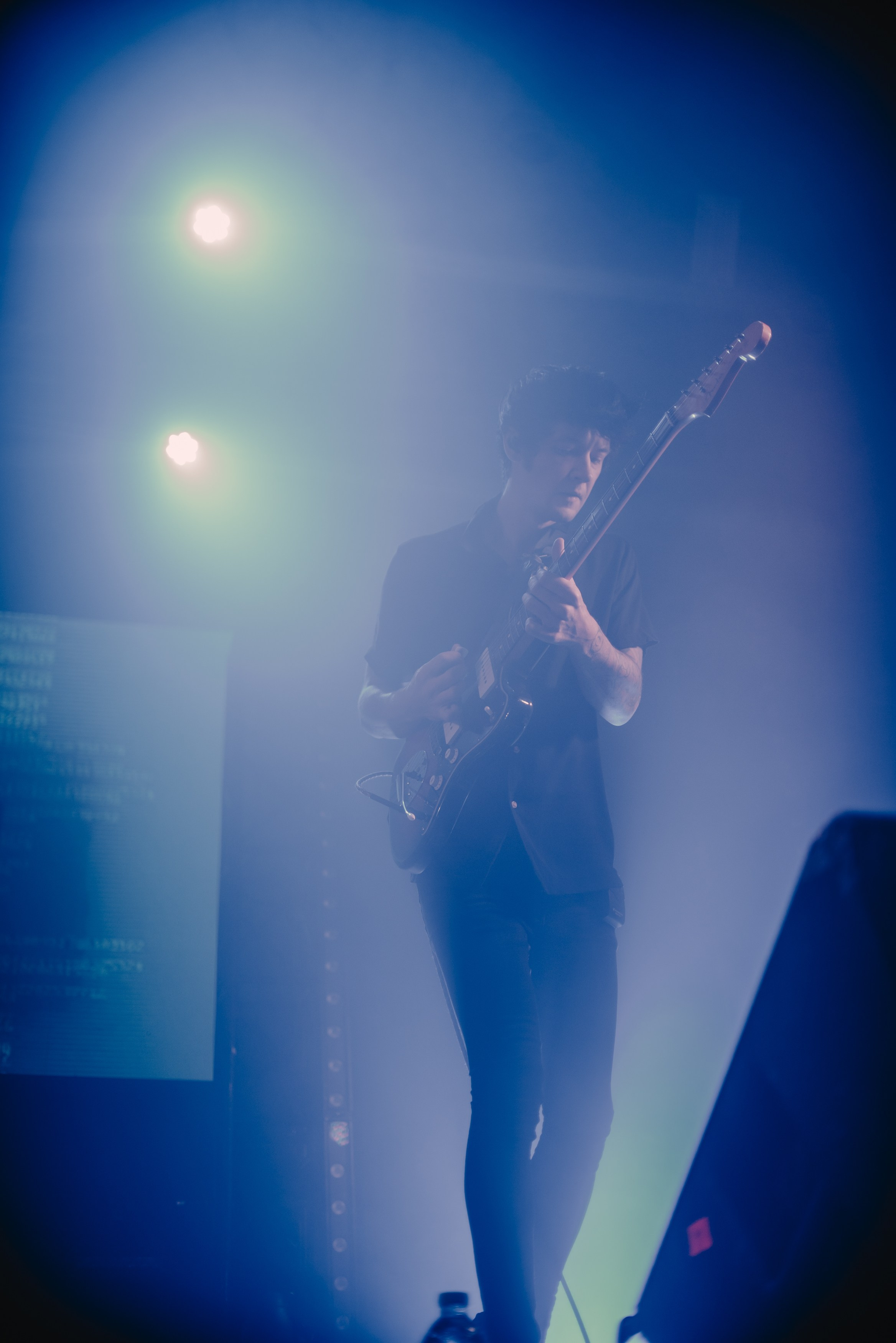 Дельфин | Gaudi. Контент фотограф Илья Урс