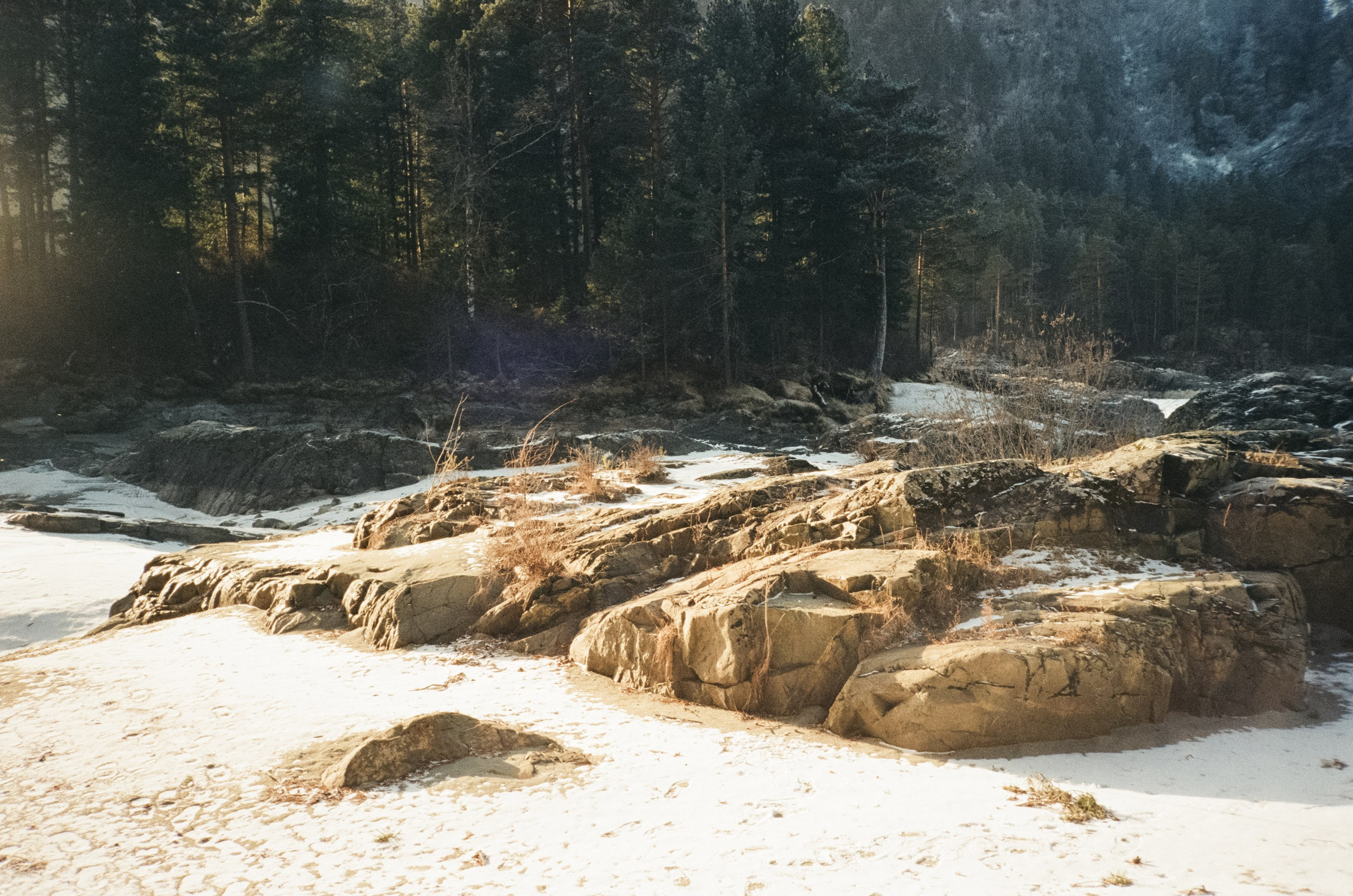 Кедровый остров и Семинская поляна в солнечный день. Фотограф-документалист Мария Осокина