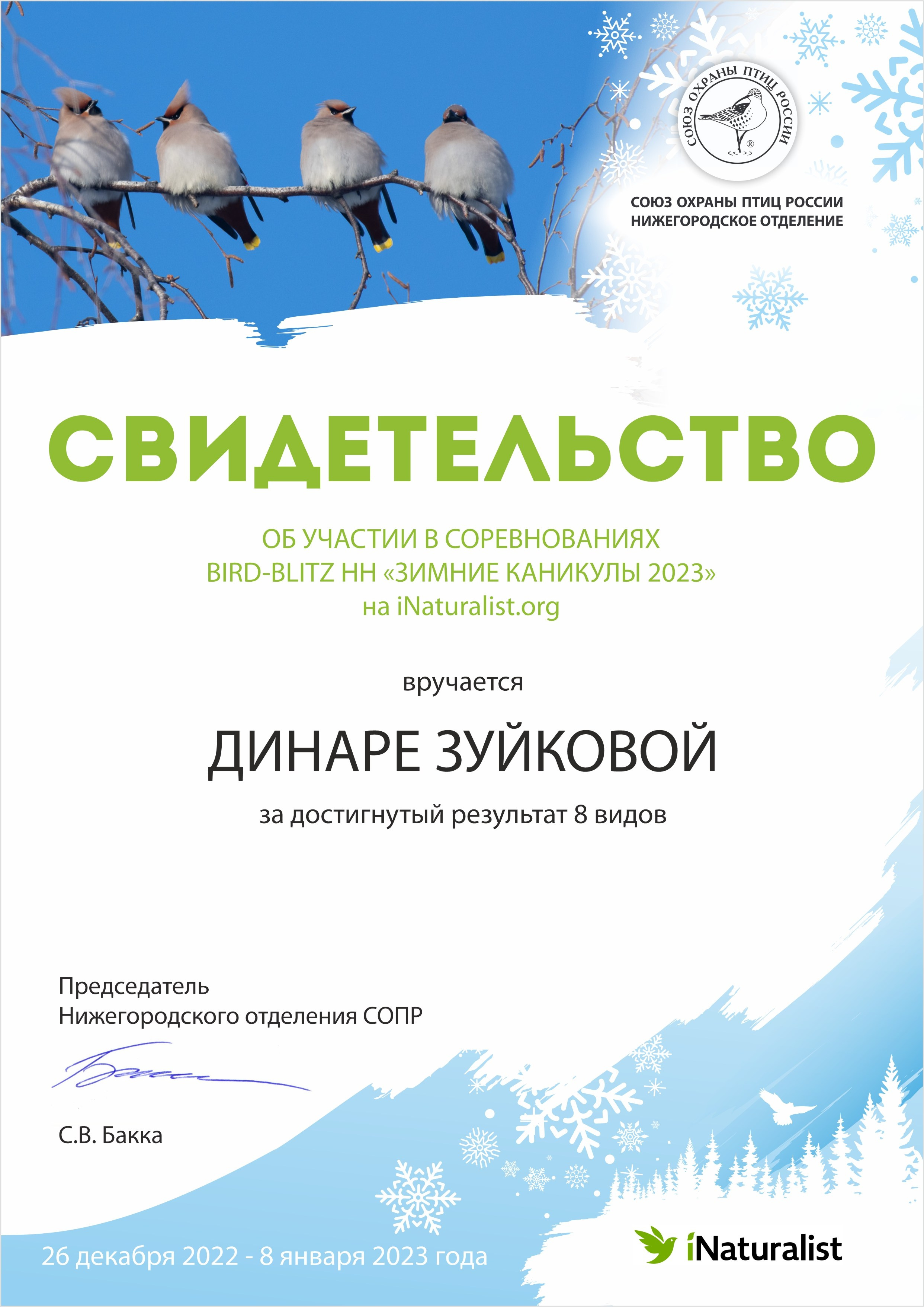 Дипломы. Мотофотограф в Нижнем Новгороде Динара Зуйкова