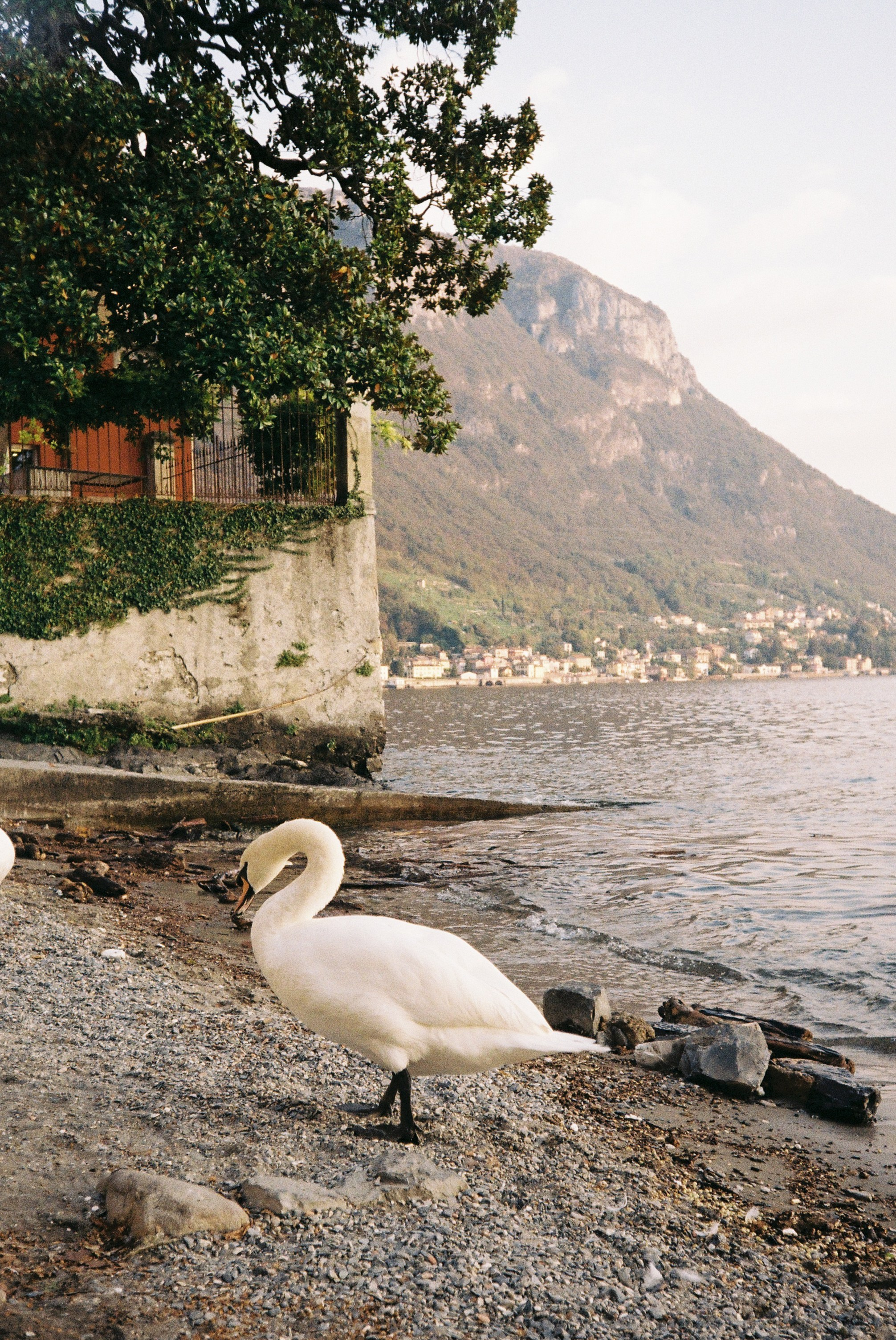 Пленка. Свадебный, репортажный и семейный фотограф в Москве Арина Зак