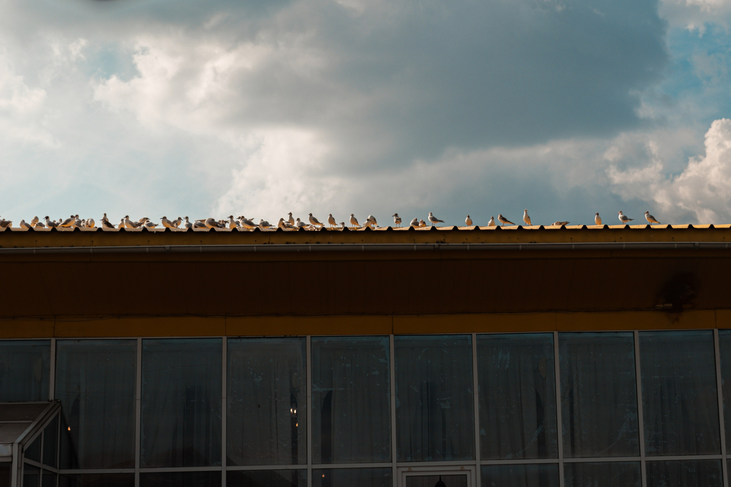 Лиза и Никита. Свадебный фотограф Челябинск