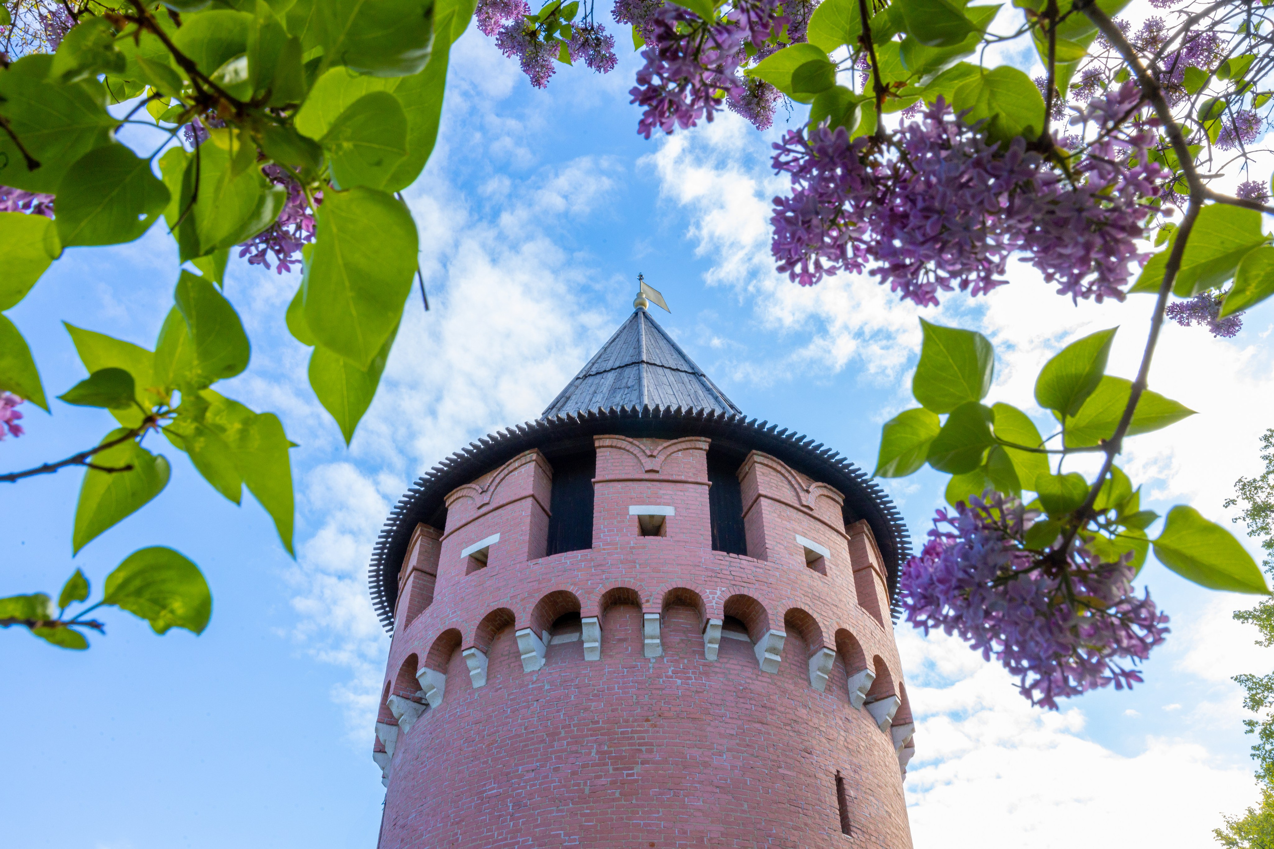 Весеннее цветение в Туле. Фотограф в Туле Крупский АнДРей. Фотостудия «КАДР71» в Туле