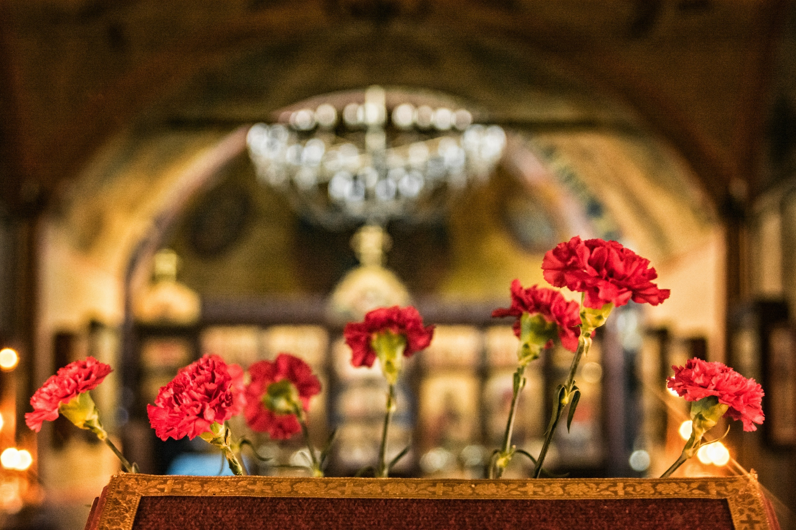 Пейзажи. Свадебный фотограф Олег Шатохин  Москва и Московской область