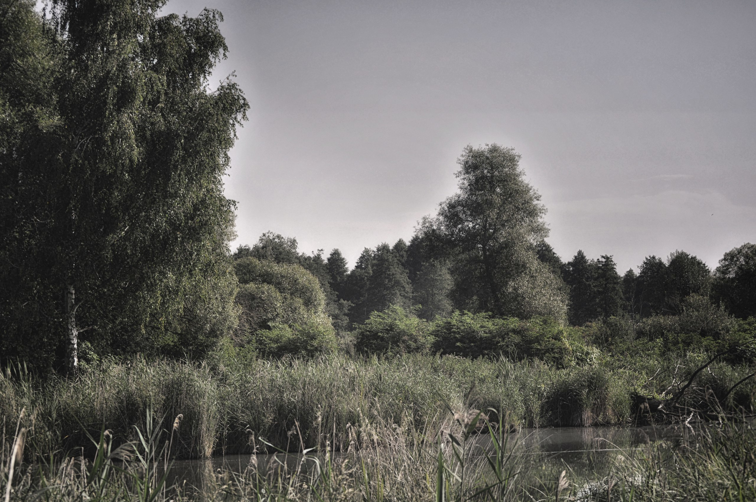 Пейзажи. Свадебный фотограф Олег Шатохин  Москва и Московской область