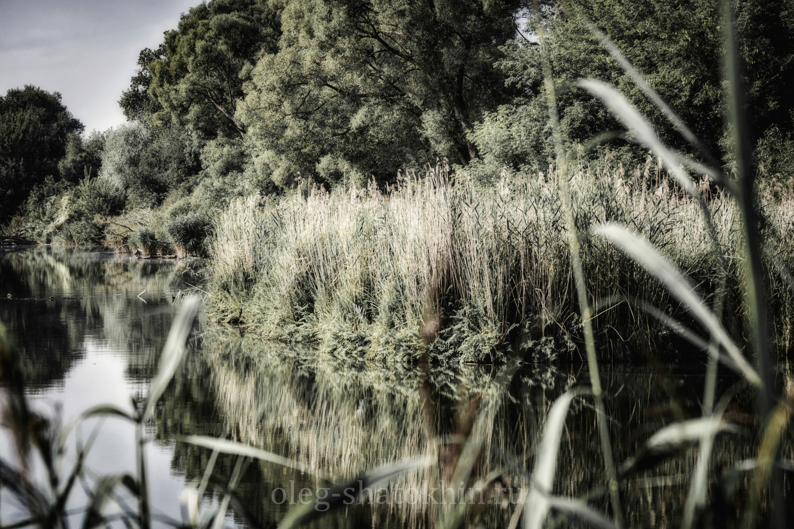 Пейзажи. Свадебный фотограф Олег Шатохин  Москва и Московской область