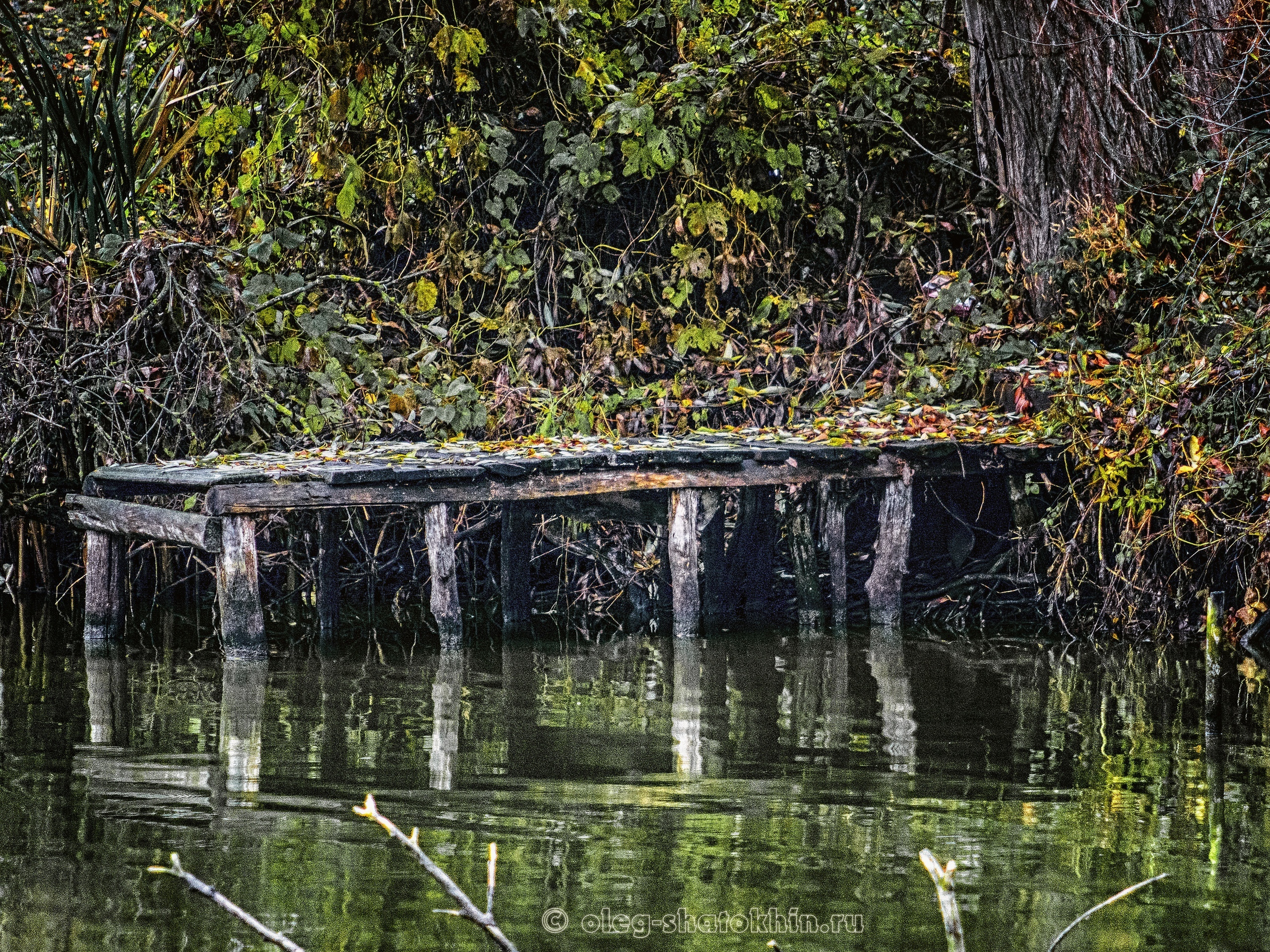 Пейзажи. Свадебный фотограф Олег Шатохин  Москва и Московской область