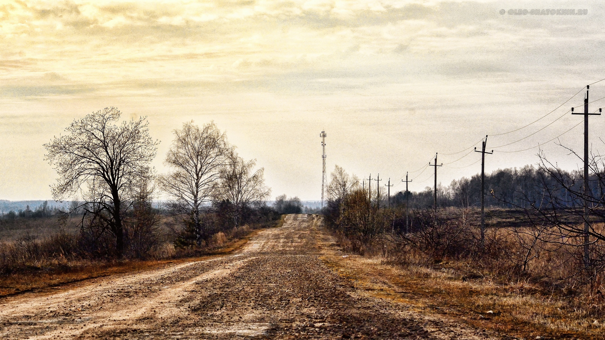 Пейзажи. Свадебный фотограф Олег Шатохин  Москва и Московской область