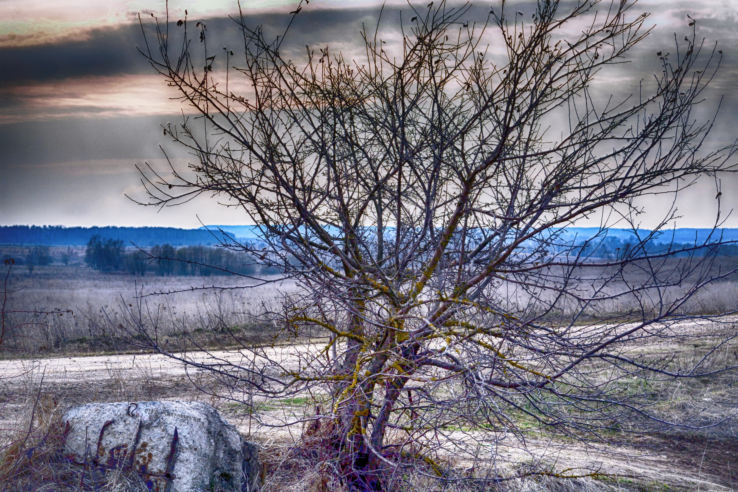Пейзажи. Свадебный фотограф Олег Шатохин  Москва и Московской область