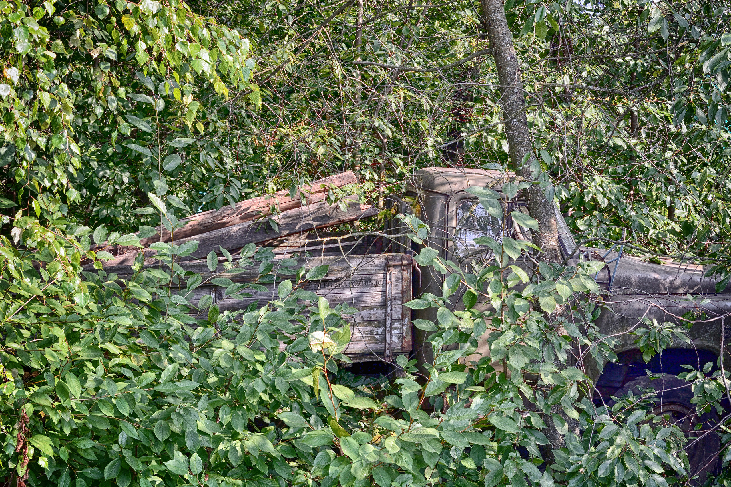 Пейзажи. Свадебный фотограф Олег Шатохин  Москва и Московской область