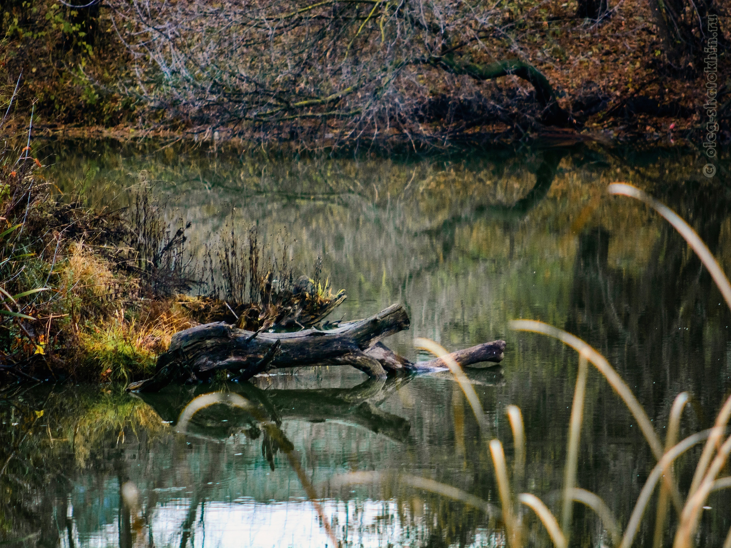 Пейзажи. Свадебный фотограф Олег Шатохин  Москва и Московской область