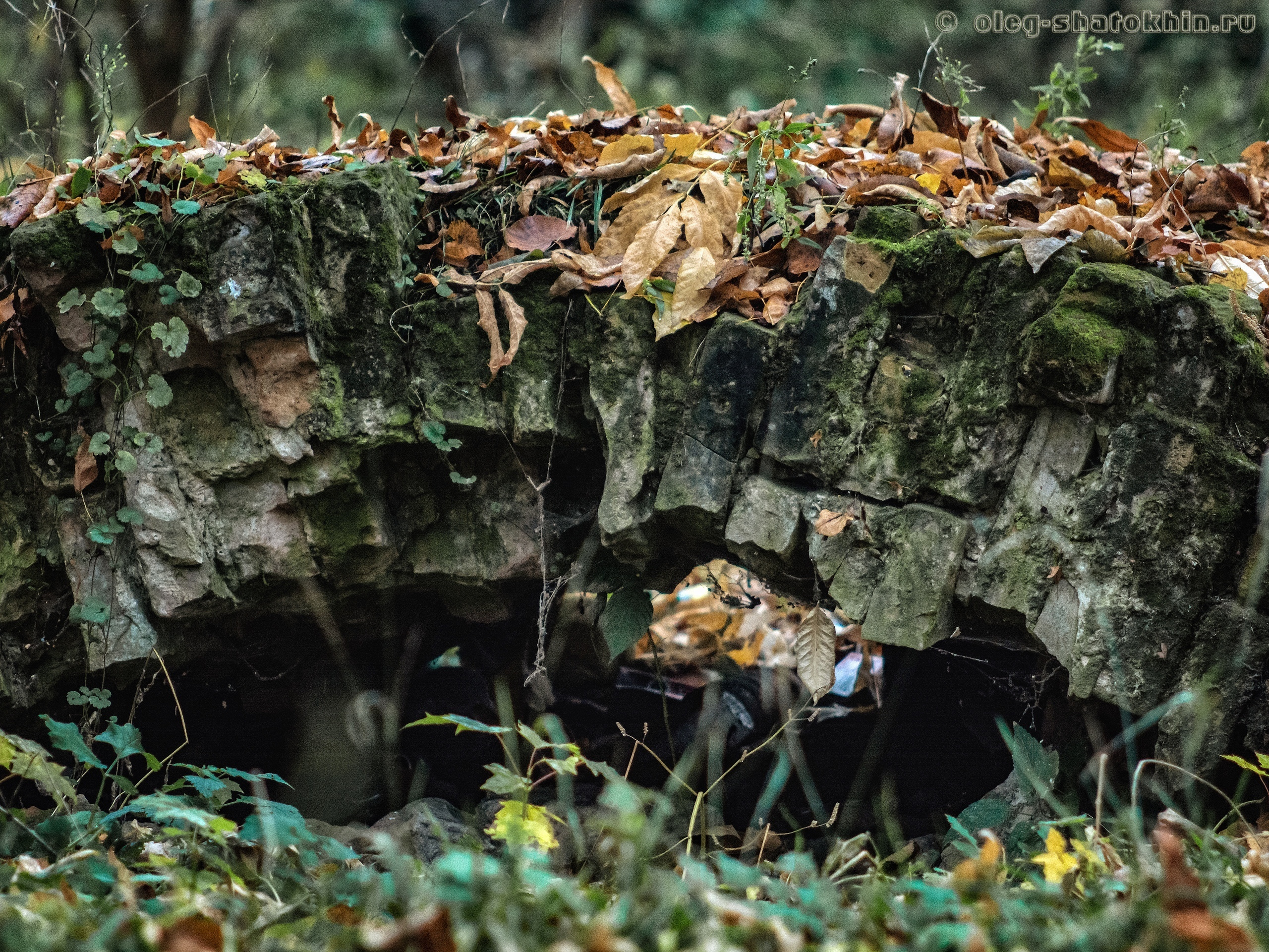 Пейзажи. Свадебный фотограф Олег Шатохин  Москва и Московской область