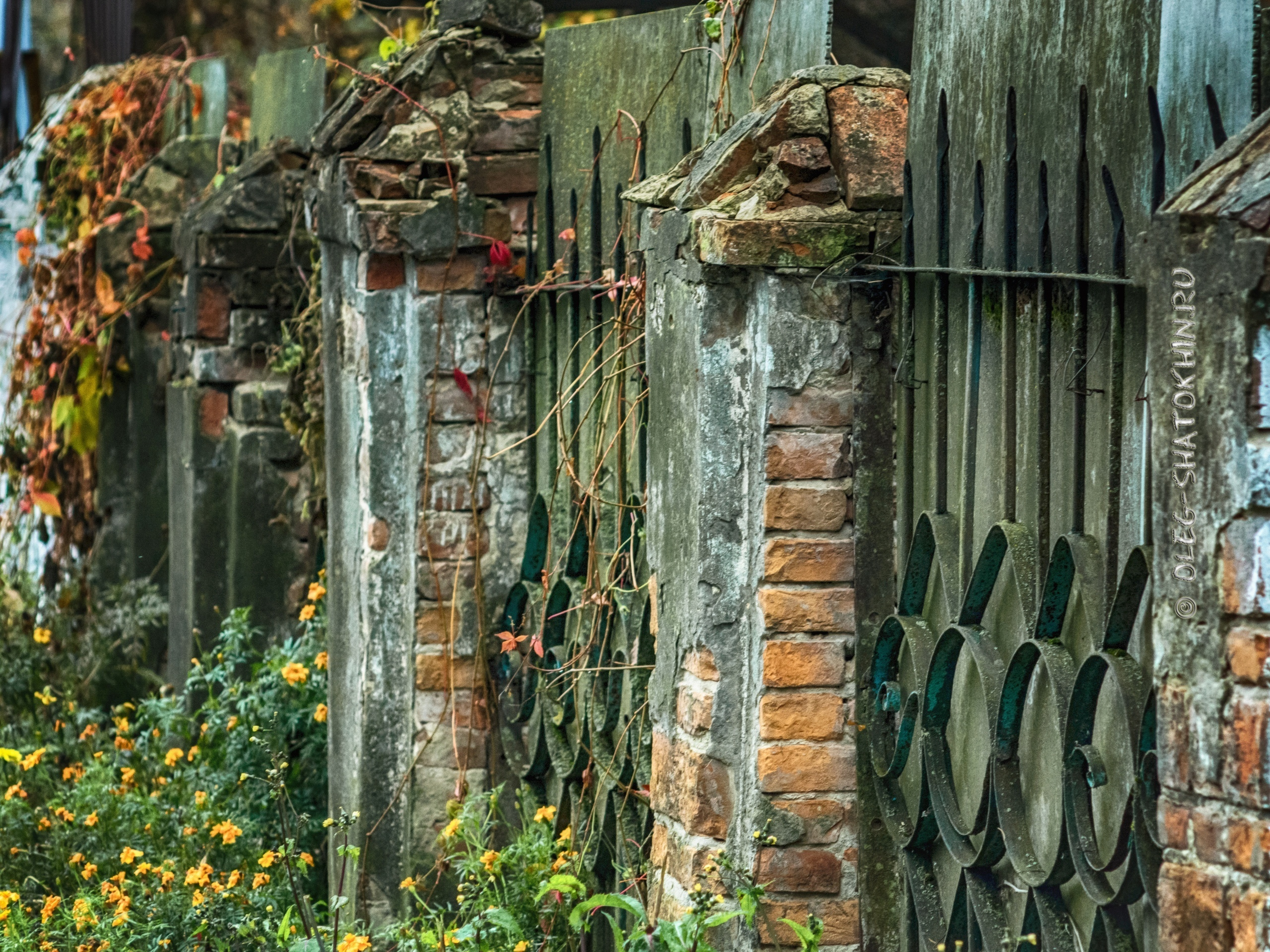 Пейзажи. Свадебный фотограф Олег Шатохин  Москва и Московской область