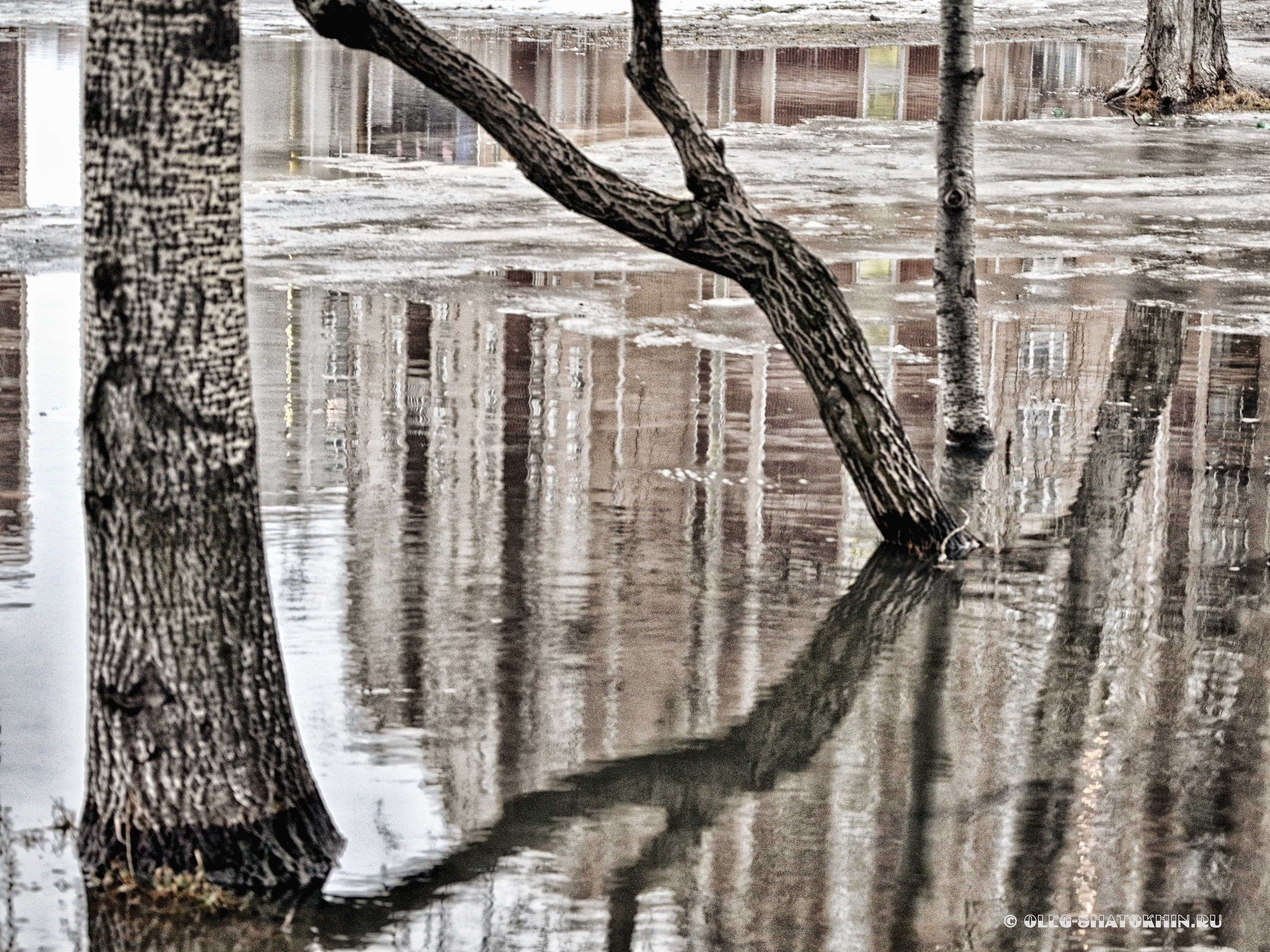 Пейзажи. Свадебный фотограф Олег Шатохин  Москва и Московской область