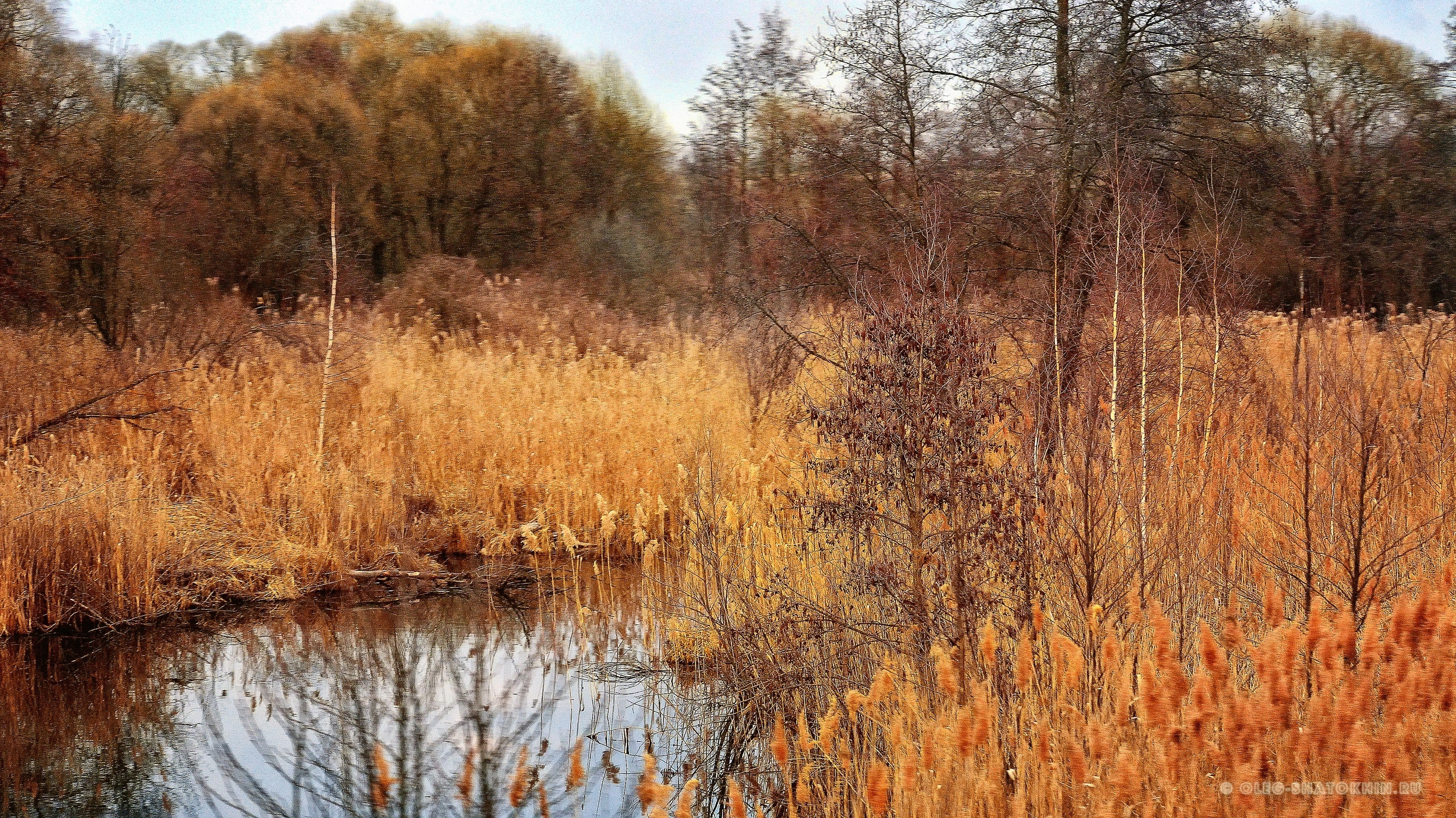 Пейзажи. Свадебный фотограф Олег Шатохин  Москва и Московской область