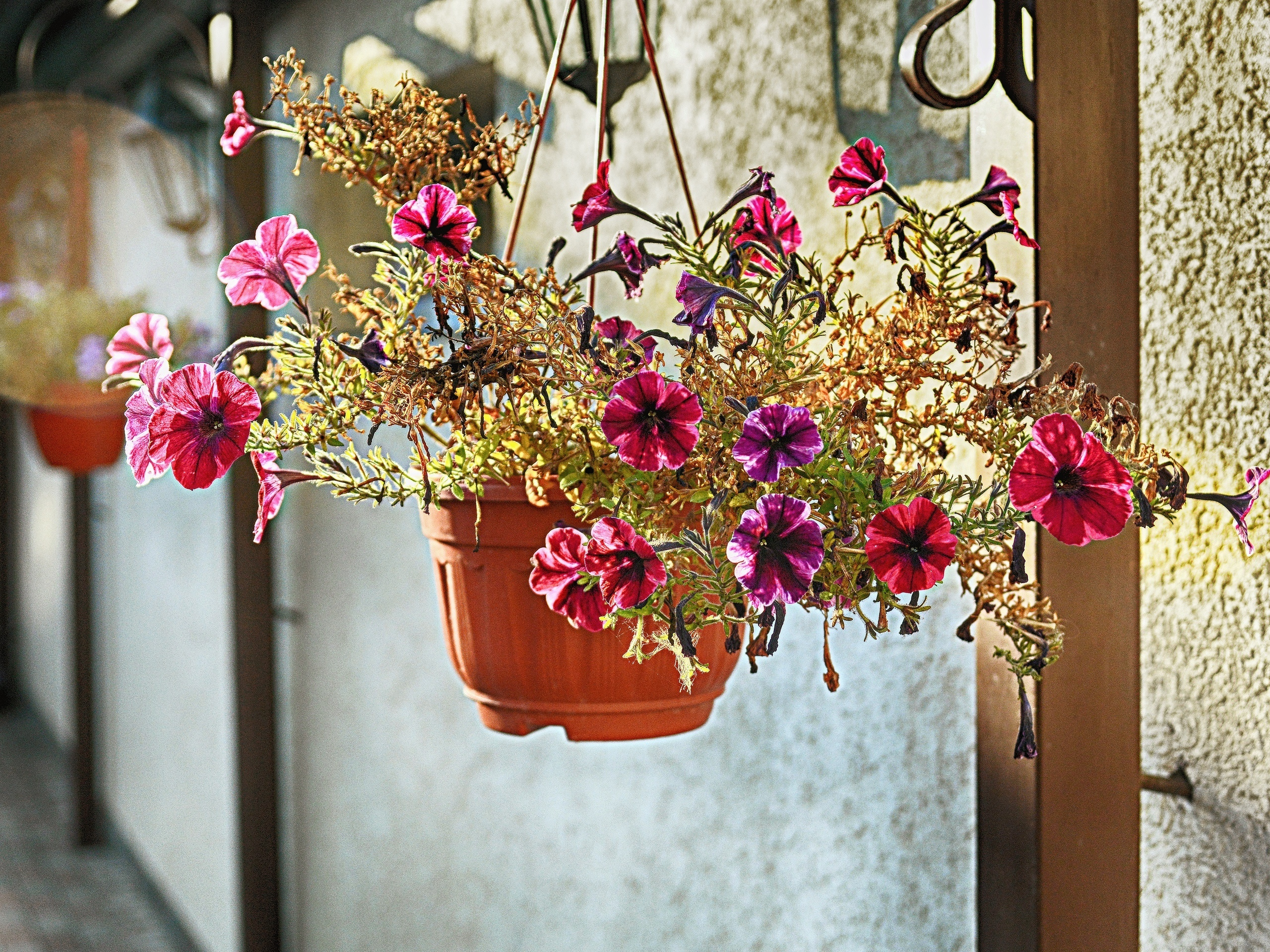 Пейзажи. Свадебный фотограф Олег Шатохин  Москва и Московской область