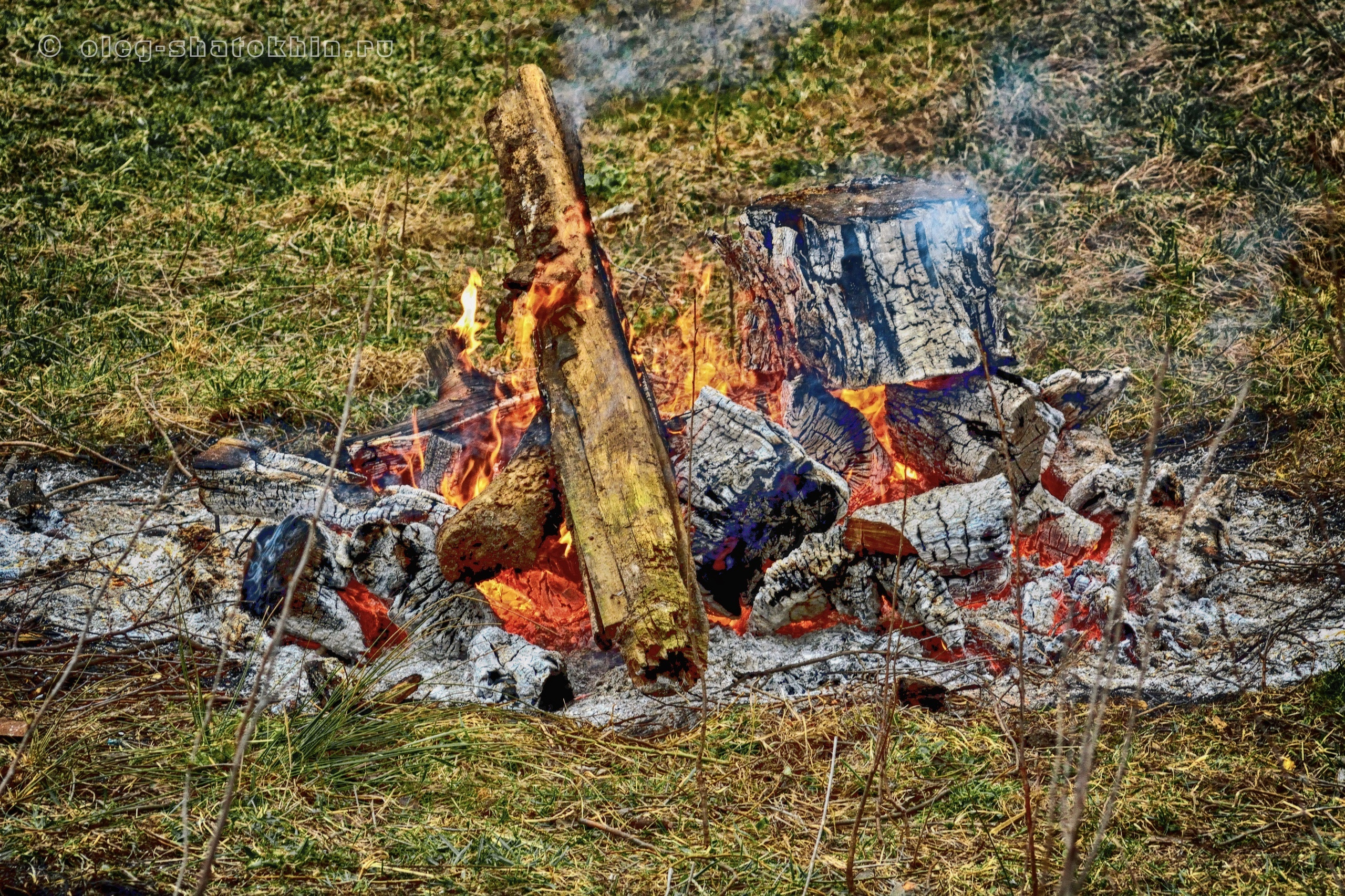 Пейзажи. Свадебный фотограф Олег Шатохин  Москва и Московской область