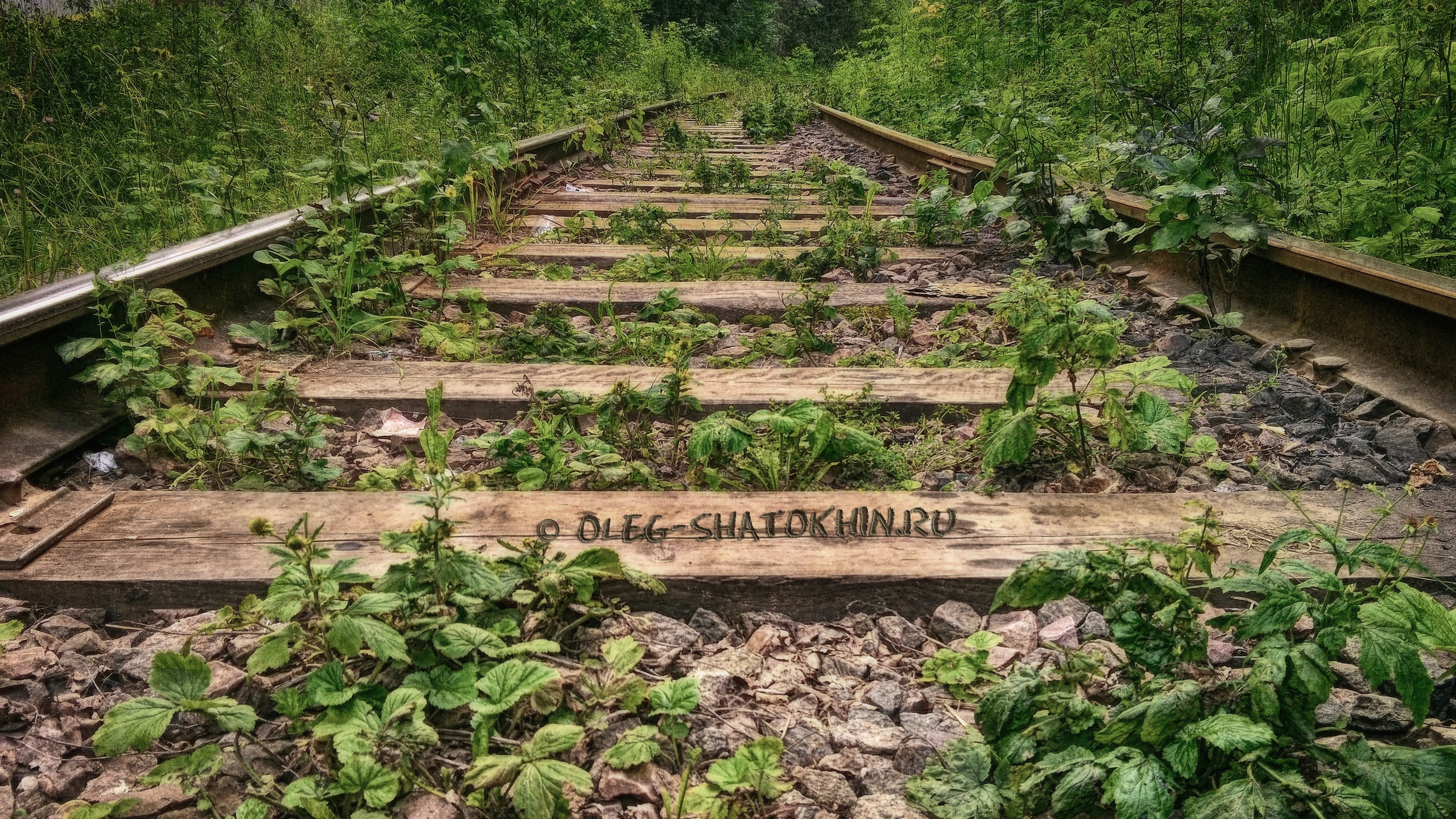 Пейзажи. Свадебный фотограф Олег Шатохин  Москва и Московской область