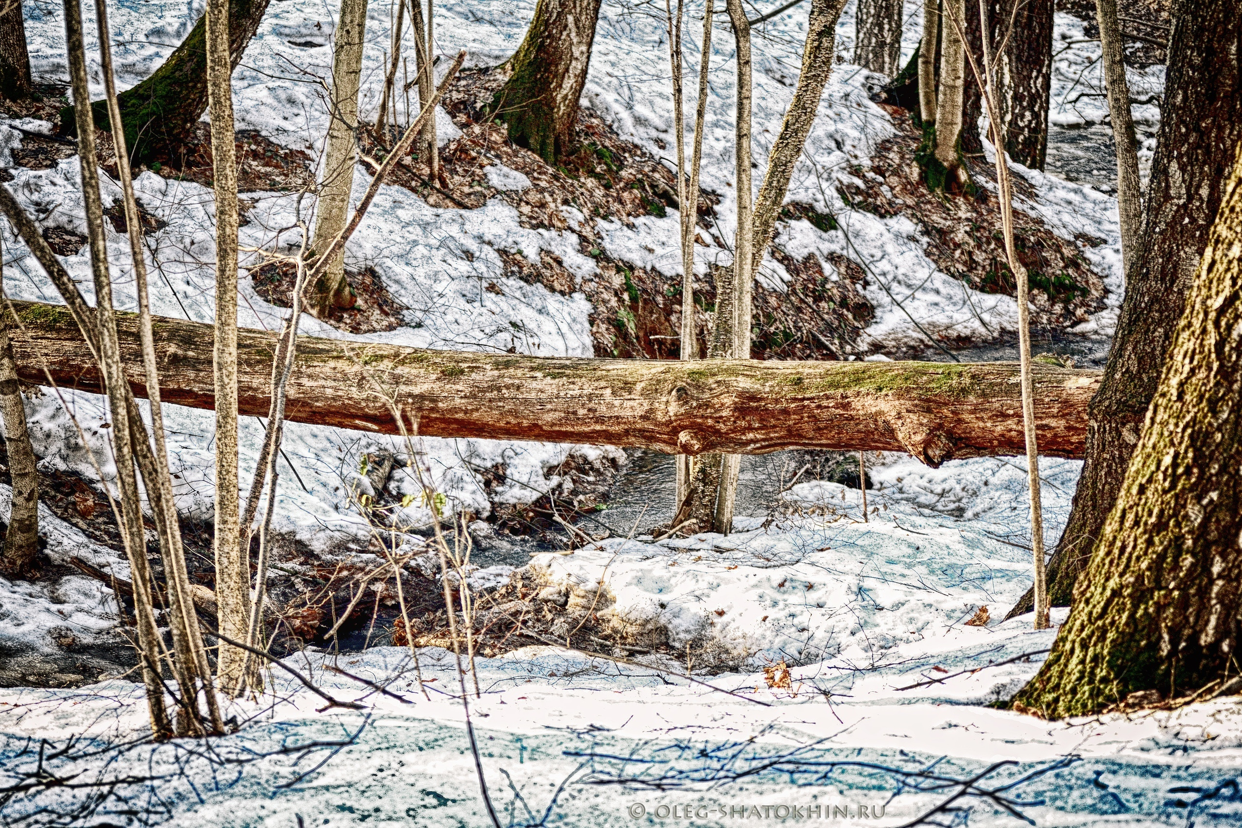 Пейзажи. Свадебный фотограф Олег Шатохин  Москва и Московской область