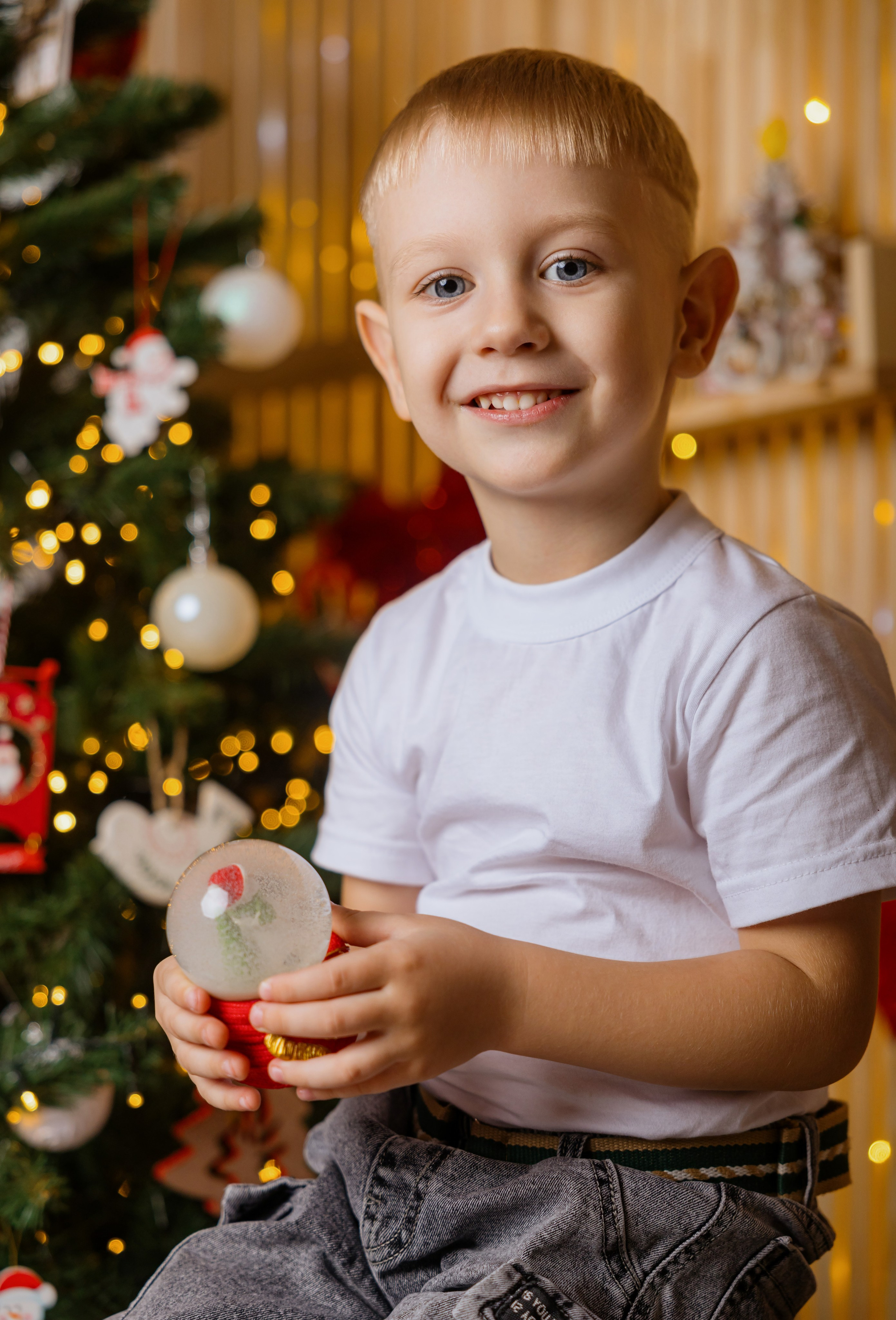 Новый год 2026. Фотограф Петров Александр Свадьбы, Съемка в студии, Выпускные альбомы г. Балашов