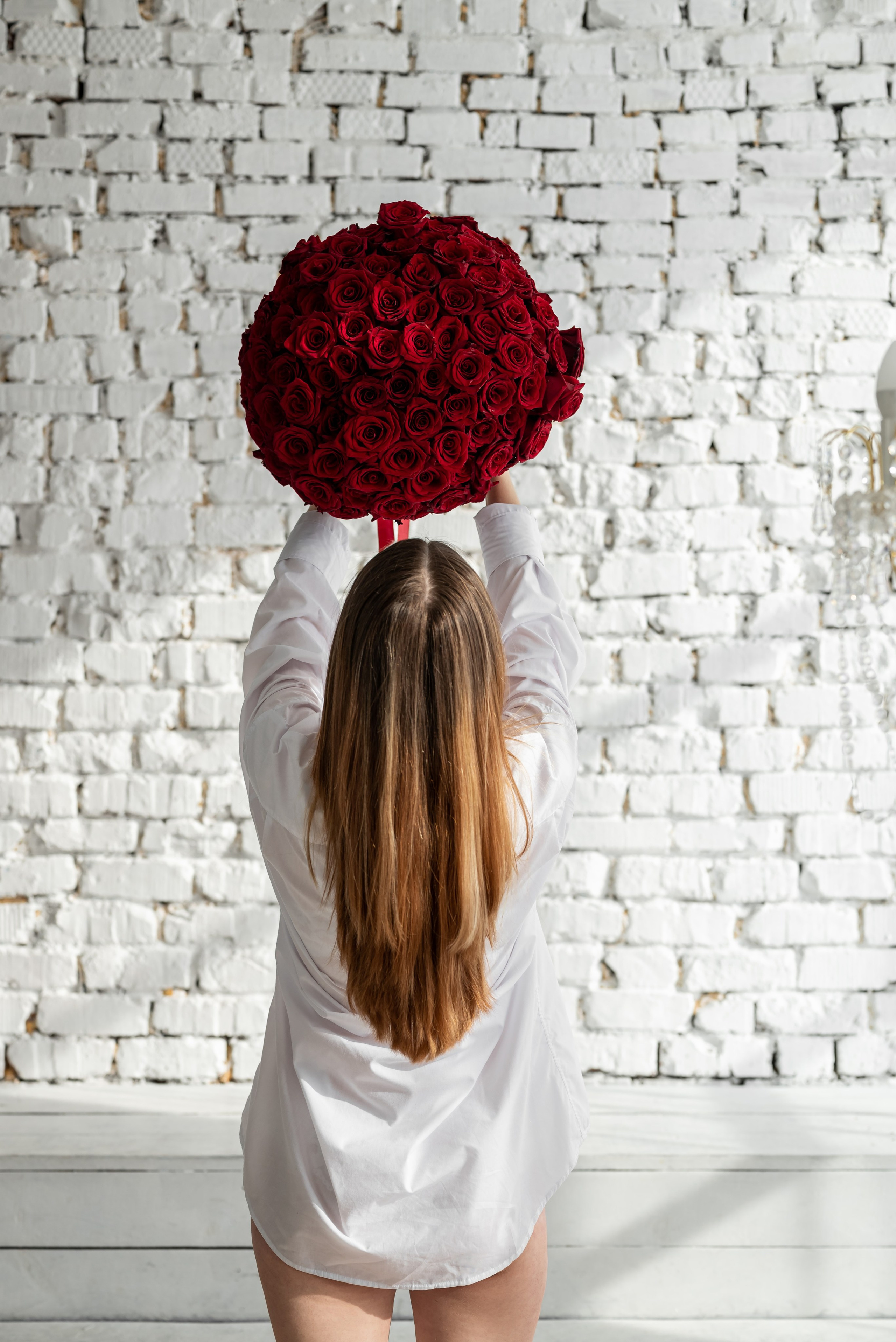 Фотопроект *101 красная роза* 2025 г. Фотограф в городе Салават