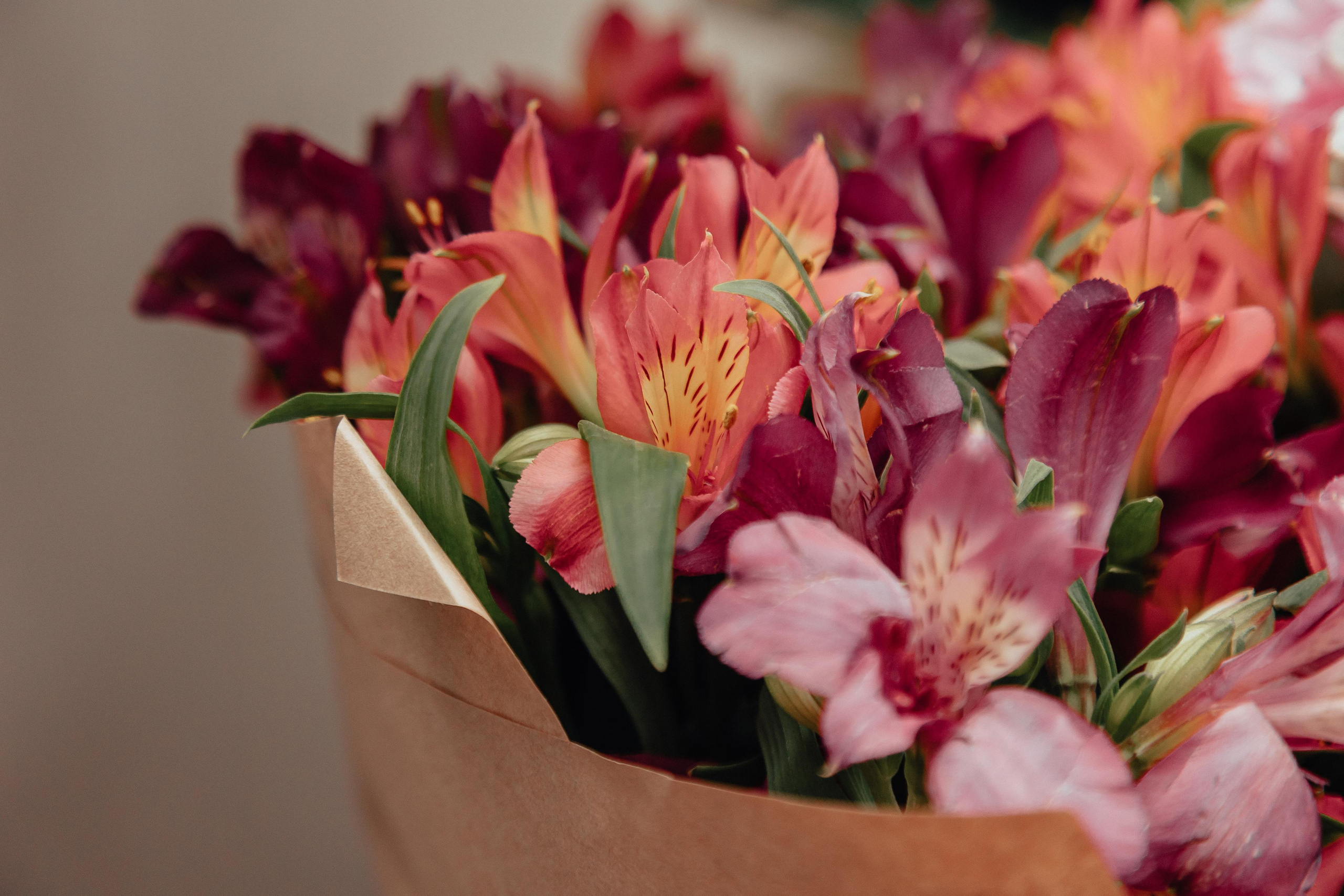 1 год в игровой. Фотограф Авилова Дарья ● Тюмень● Съемка больших семей ●Архив поколений