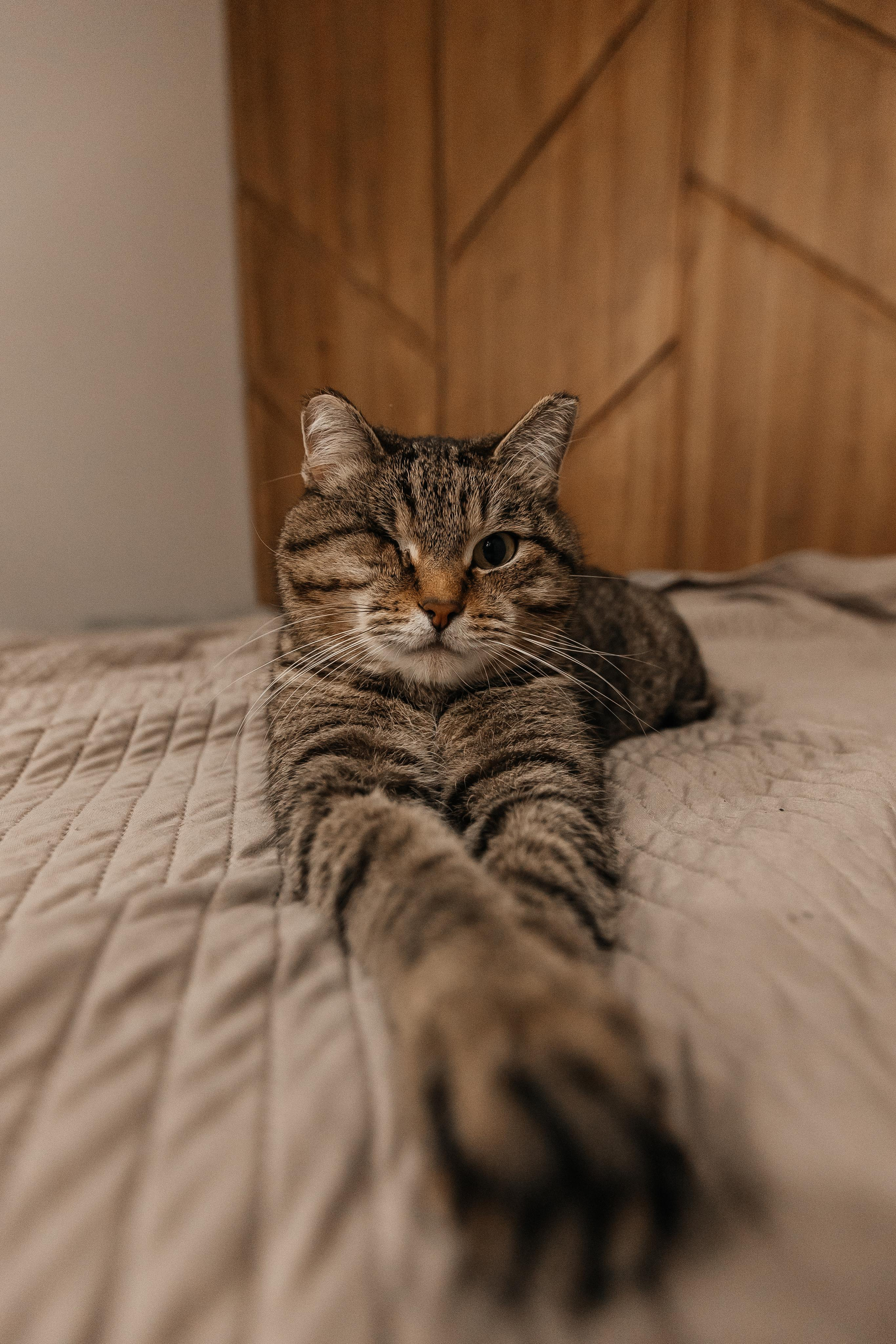 1 год дома. Фотограф Авилова Дарья ● Тюмень● Съемка больших семей ●Архив поколений