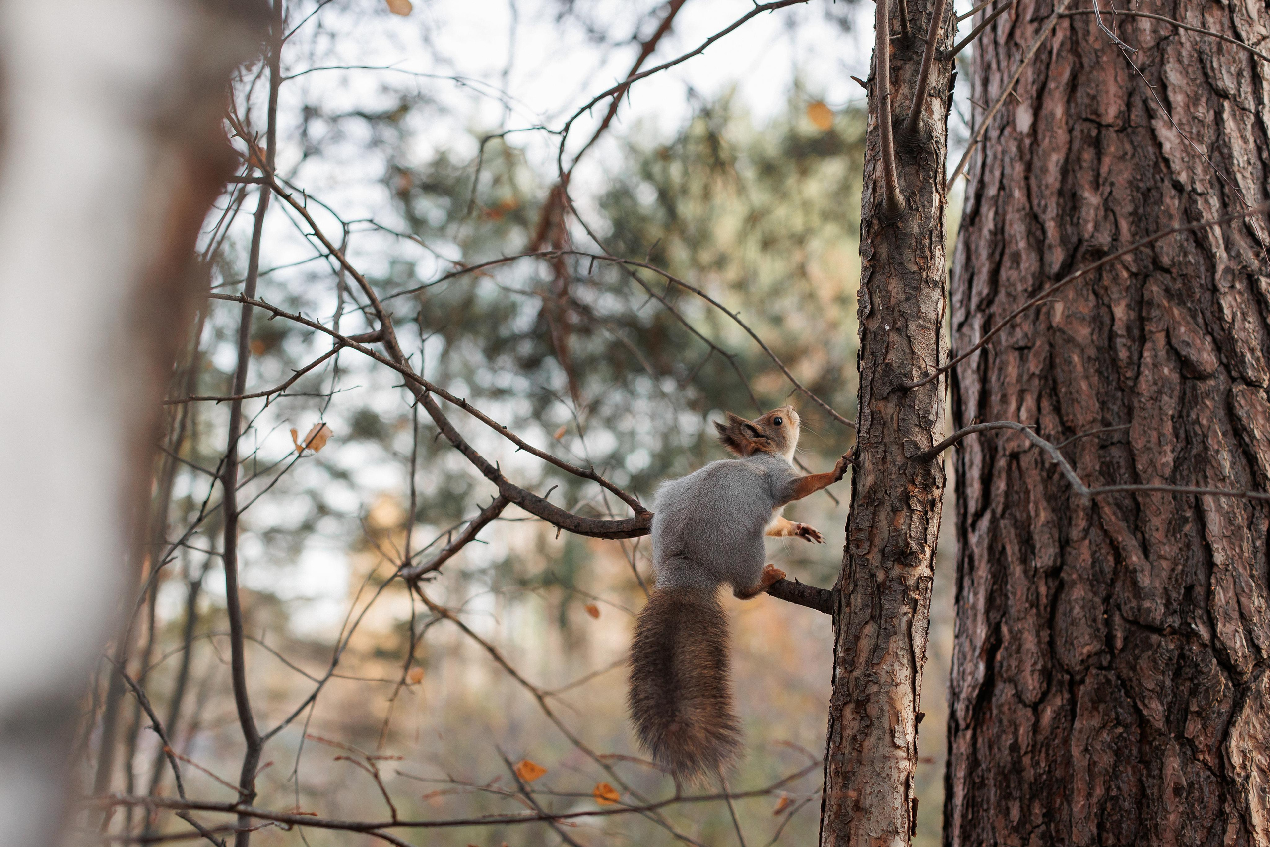 Мама и малыш (прогулка). Фотограф Авилова Дарья ● Тюмень● Съемка больших семей ●Архив поколений