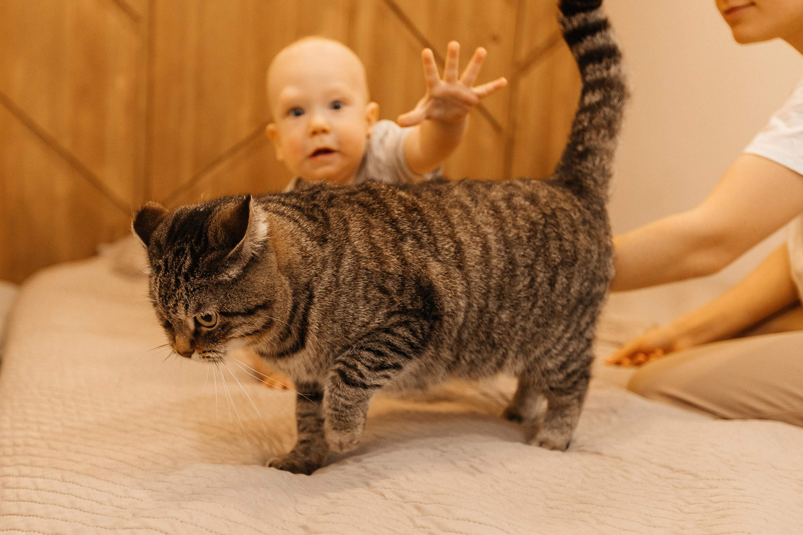 1 год дома. Фотограф Авилова Дарья ● Тюмень● Съемка больших семей ●Архив поколений