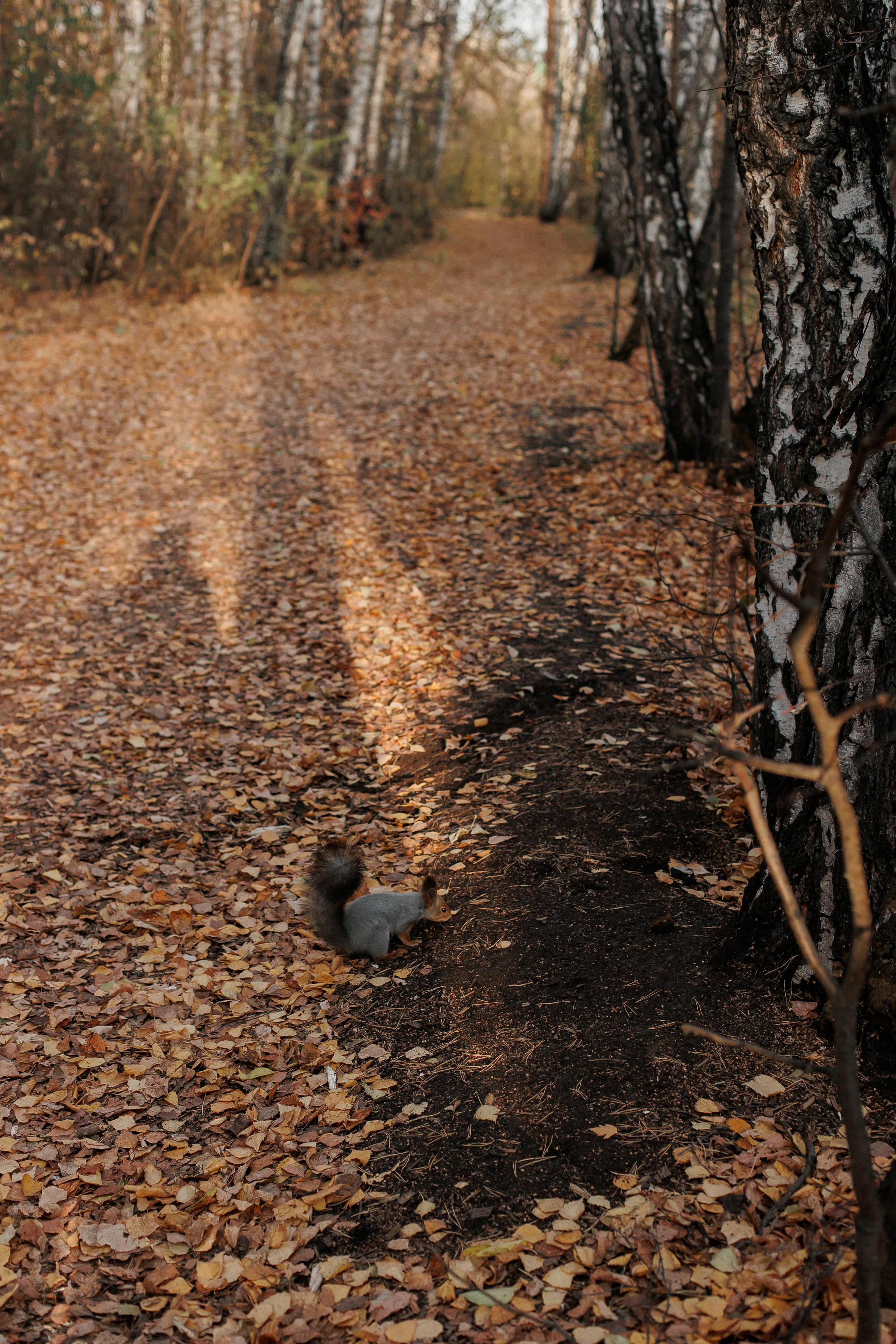 Мама и малыш (прогулка). Фотограф Авилова Дарья ● Тюмень● Съемка больших семей ●Архив поколений
