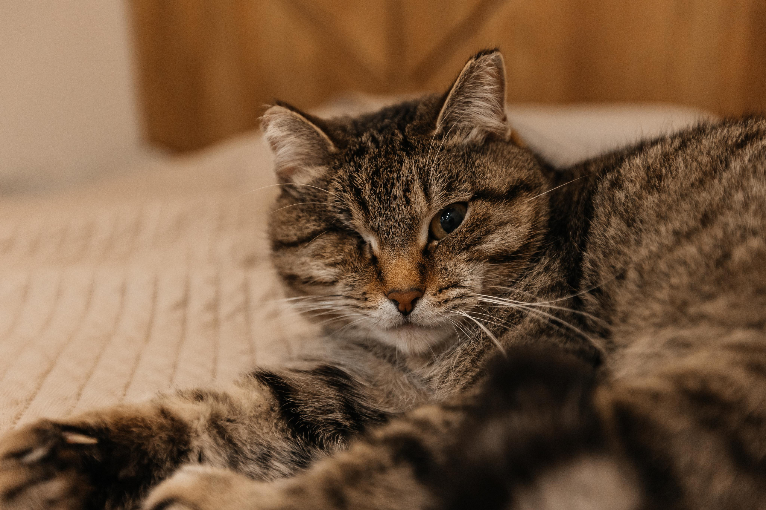1 год дома. Фотограф Авилова Дарья ● Тюмень● Съемка больших семей ●Архив поколений