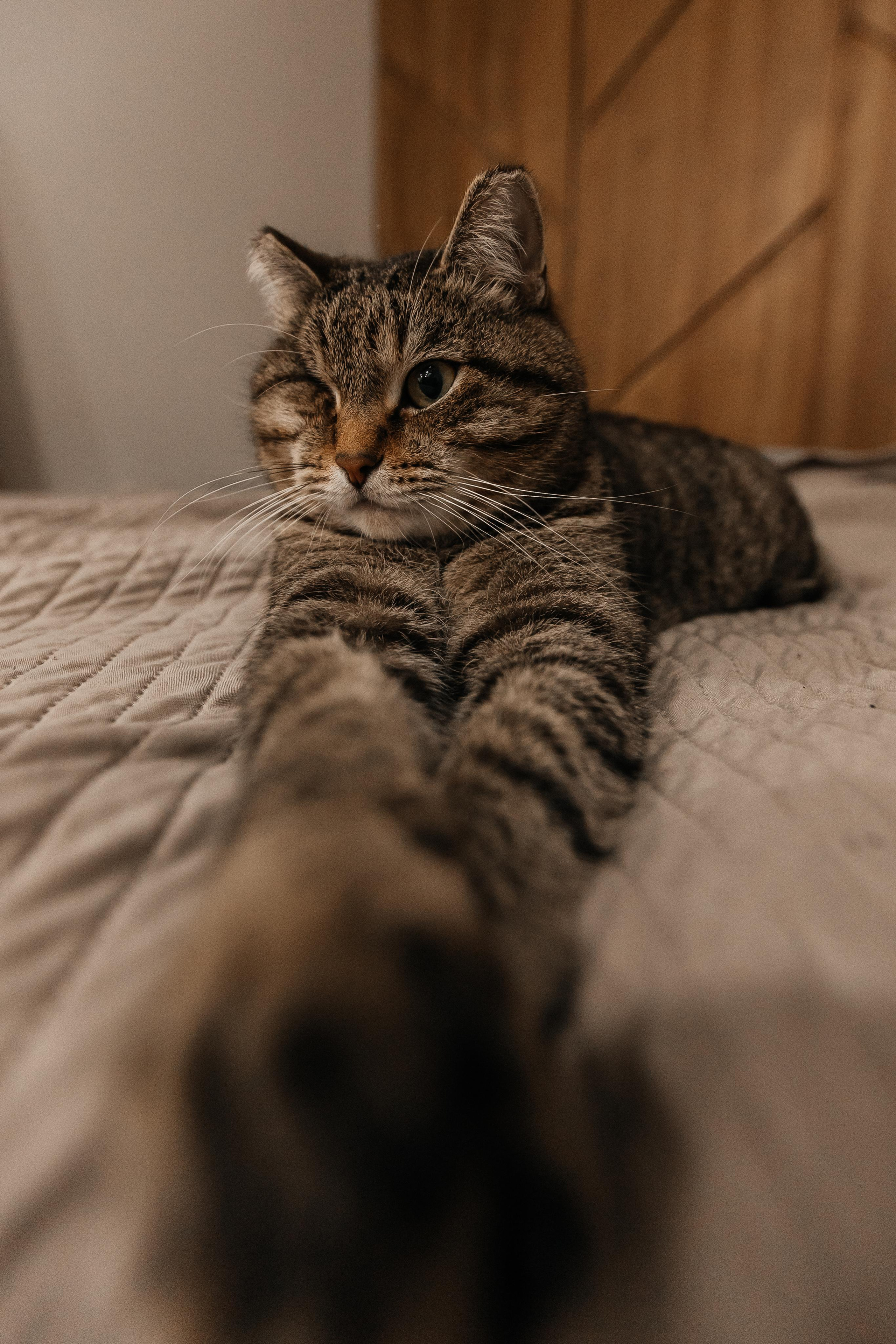 1 год дома. Фотограф Авилова Дарья ● Тюмень● Съемка больших семей ●Архив поколений