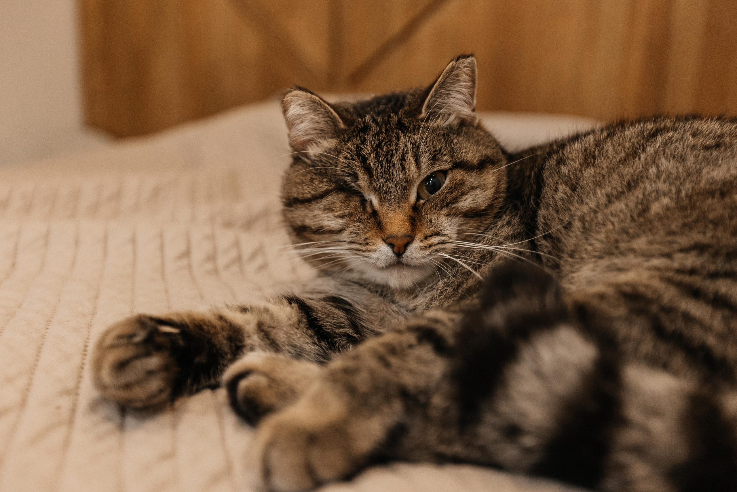 1 год дома. Фотограф Авилова Дарья ● Тюмень● Съемка больших семей ●Архив поколений