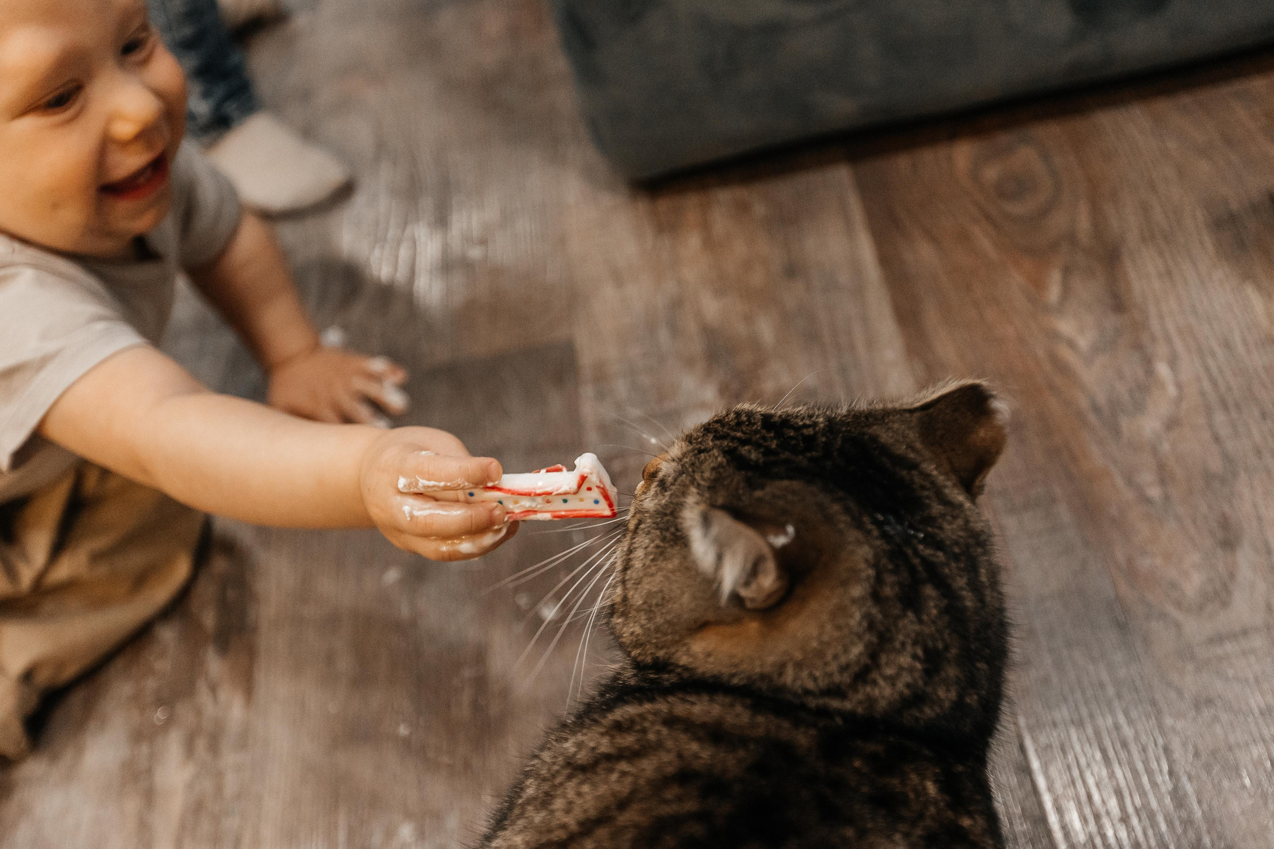 1 год дома. Фотограф Авилова Дарья ● Тюмень● Съемка больших семей ●Архив поколений