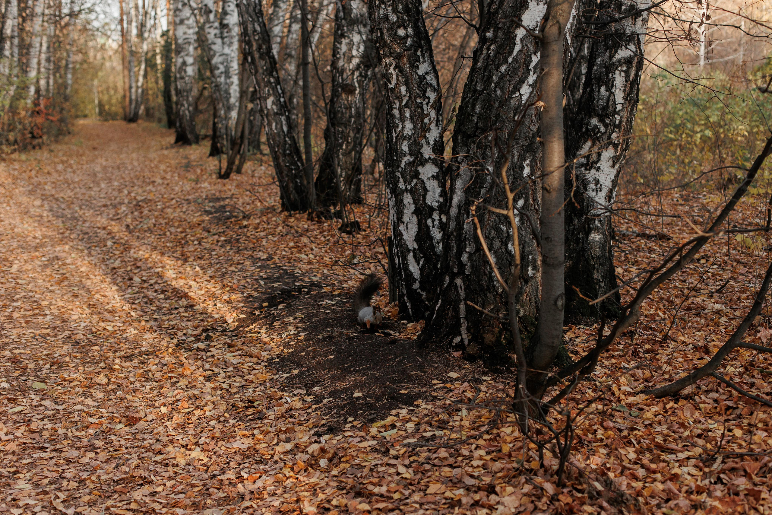Мама и малыш (прогулка). Фотограф Авилова Дарья ● Тюмень● Съемка больших семей ●Архив поколений