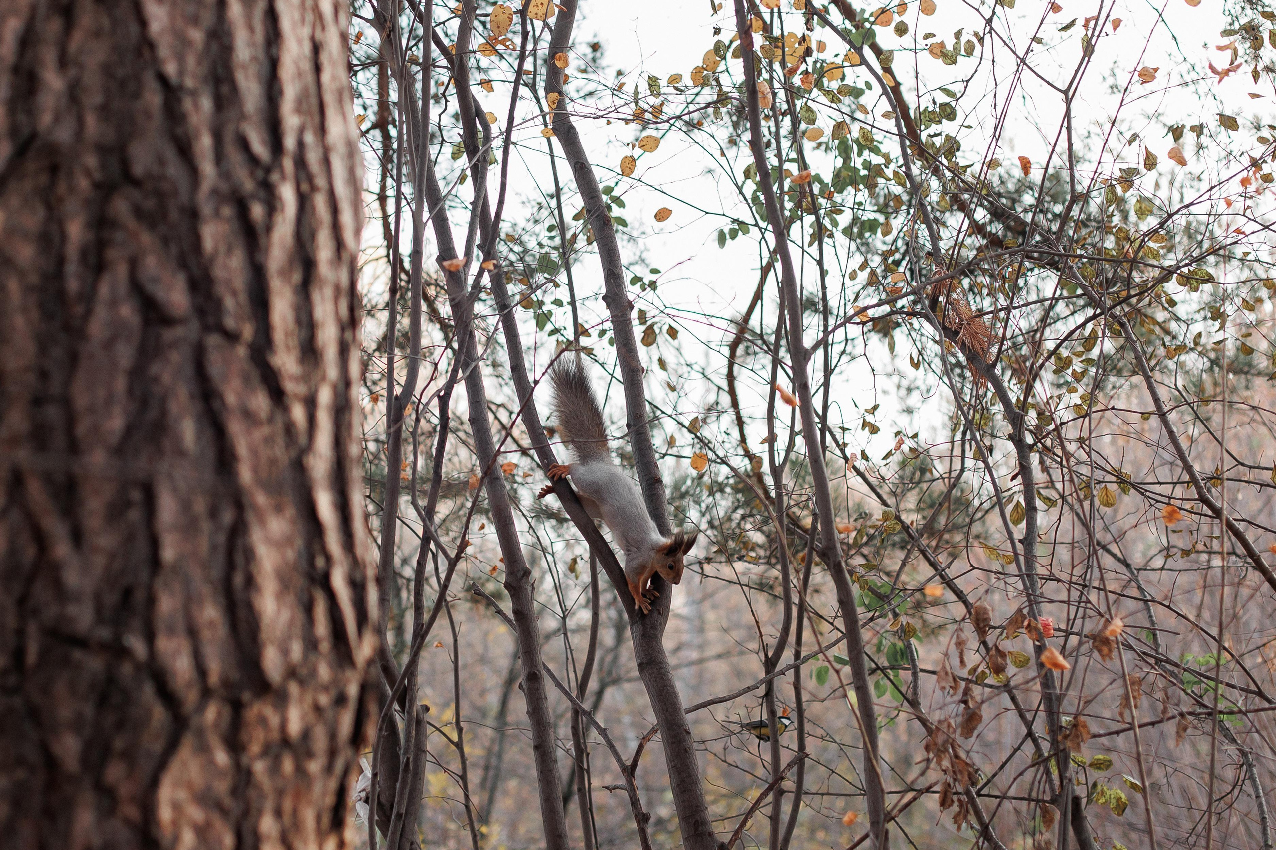 Мама и малыш (прогулка). Фотограф Авилова Дарья ● Тюмень● Съемка больших семей ●Архив поколений