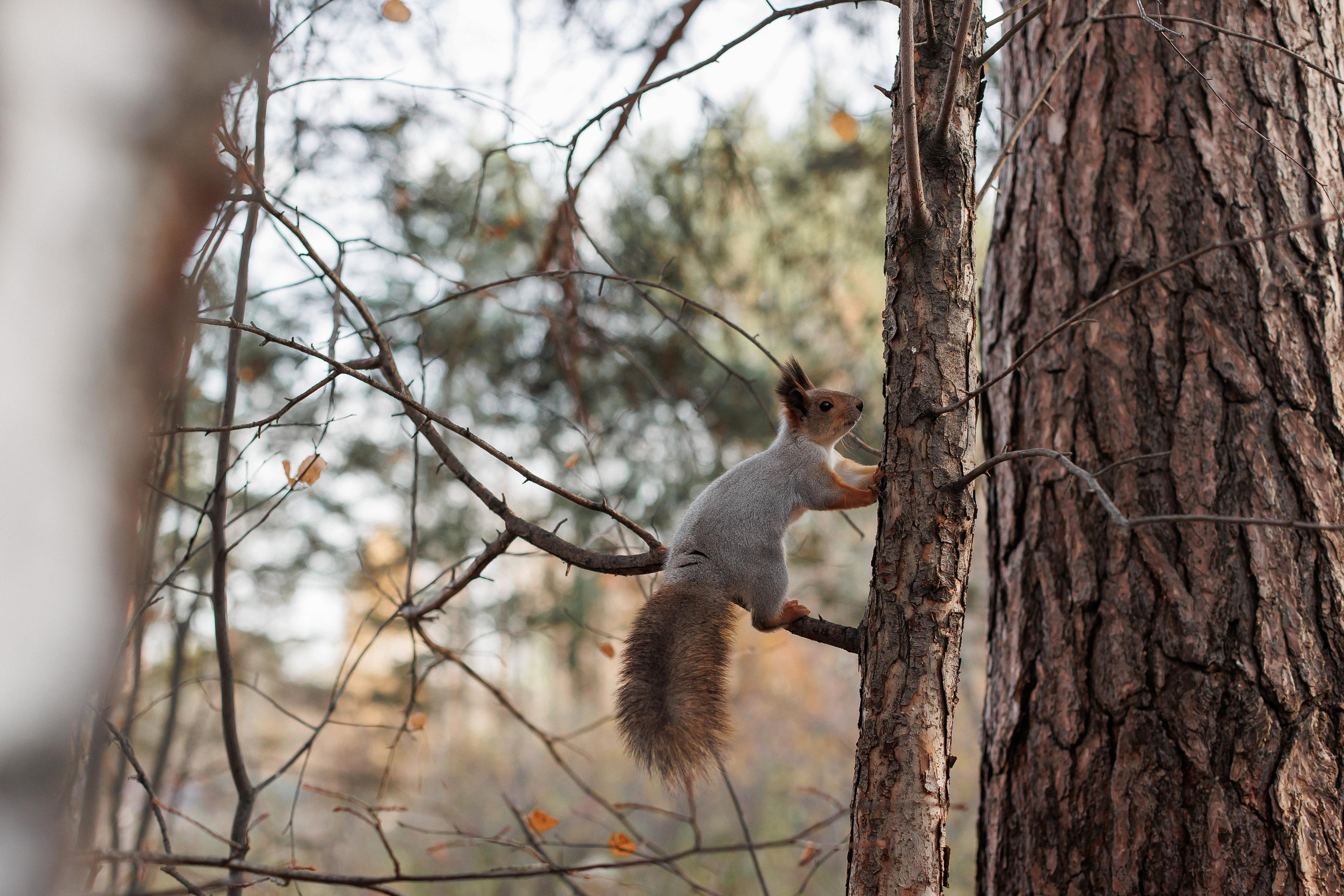 Мама и малыш (прогулка). Фотограф Авилова Дарья ● Тюмень● Съемка больших семей ●Архив поколений