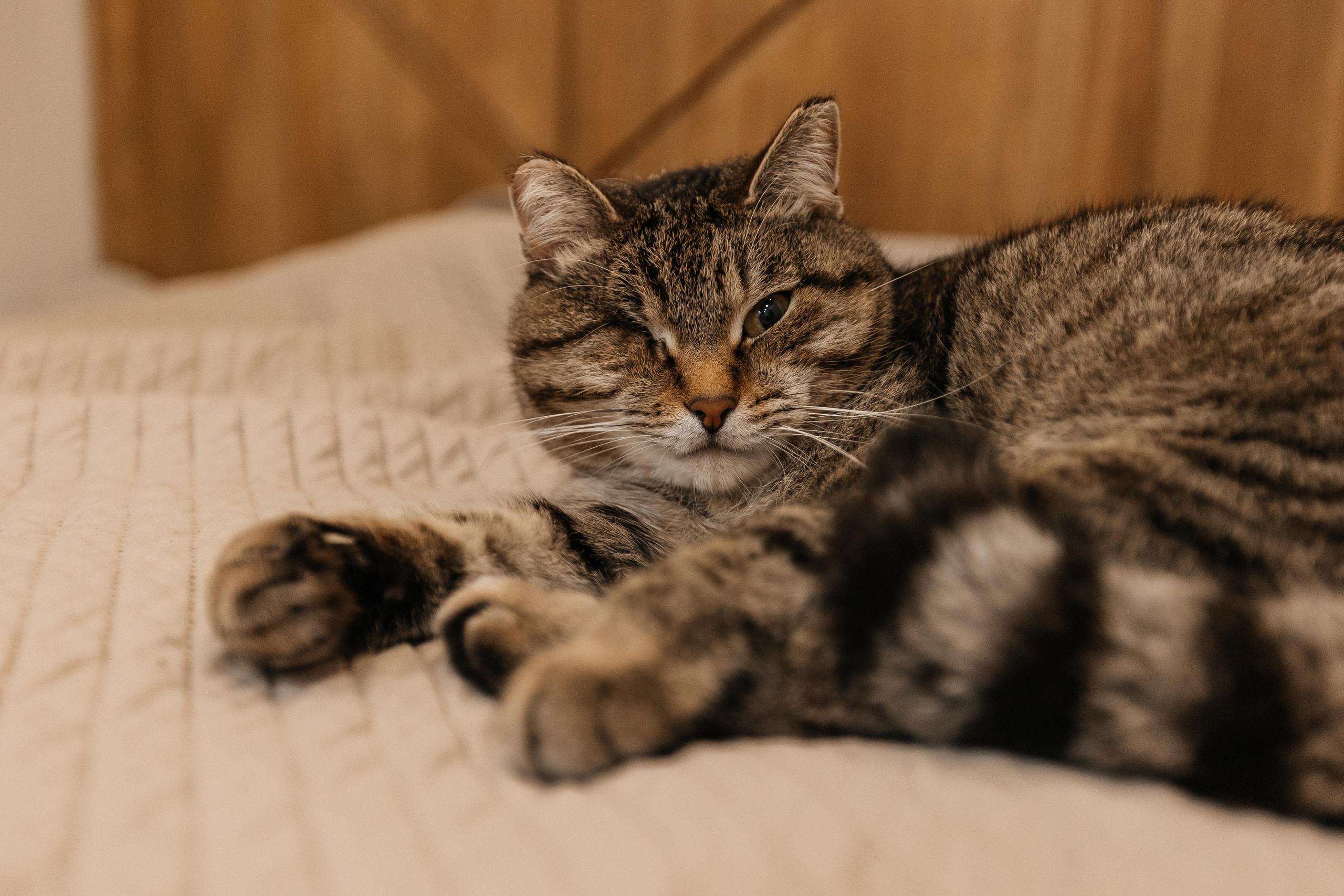 1 год дома. Фотограф Авилова Дарья ● Тюмень● Съемка больших семей ●Архив поколений