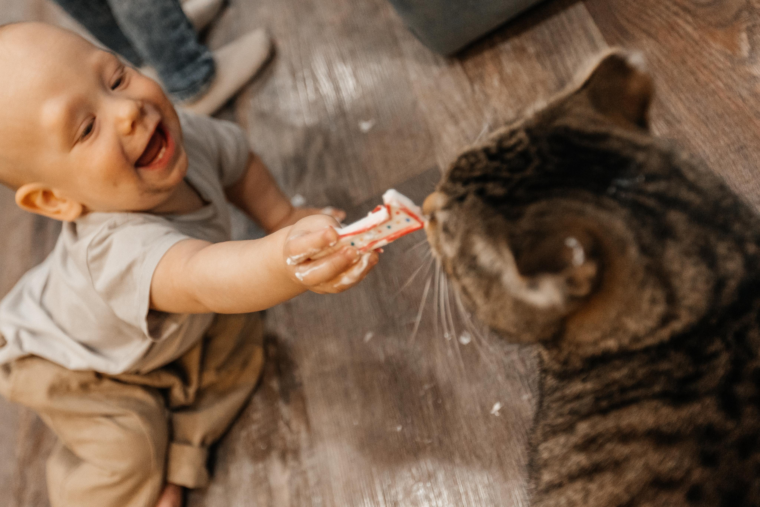 1 год дома. Фотограф Авилова Дарья ● Тюмень● Съемка больших семей ●Архив поколений