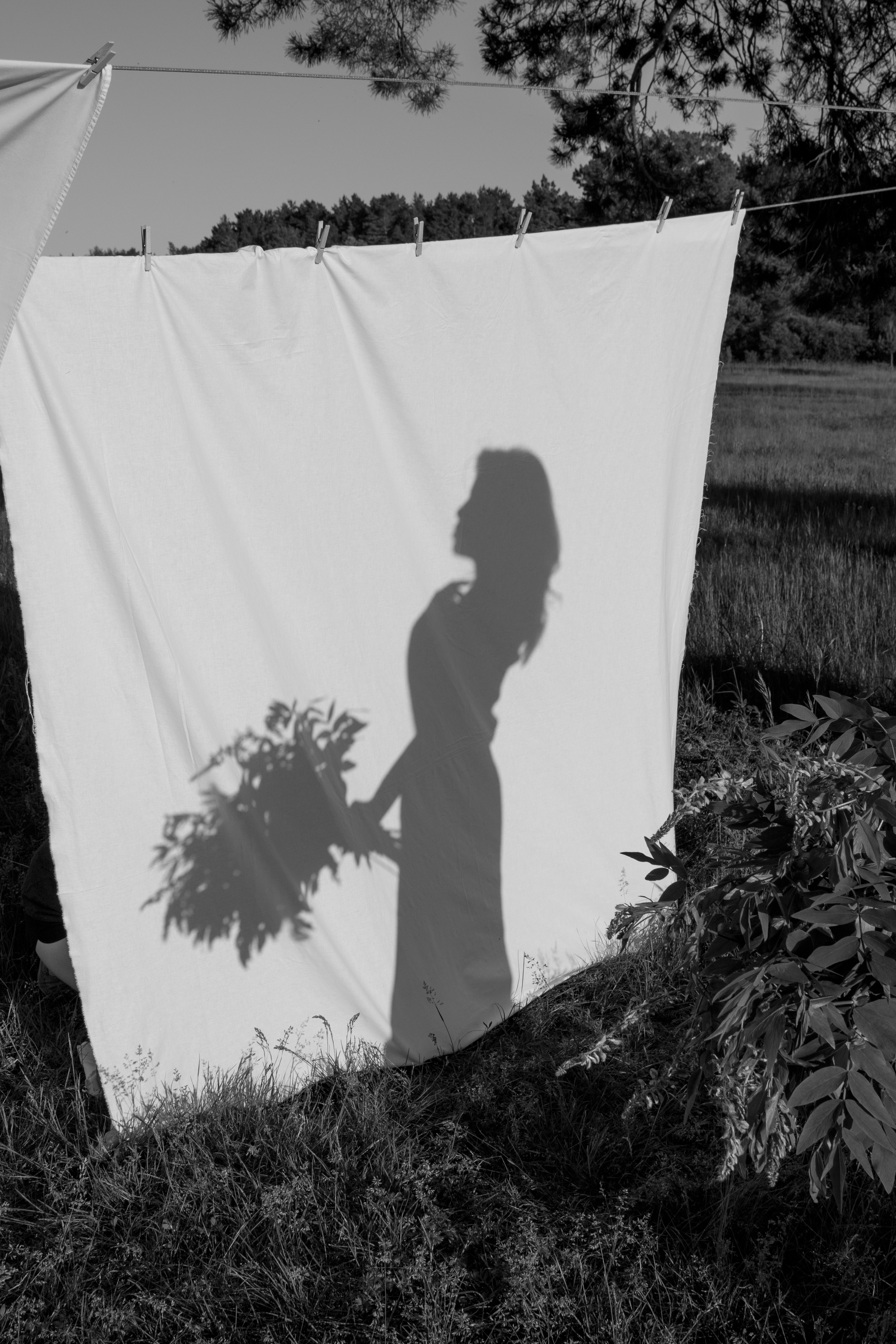 Семейная «Атмосфера лета». Фотограф Авилова Дарья ● Тюмень● Съемка больших семей ●Архив поколений