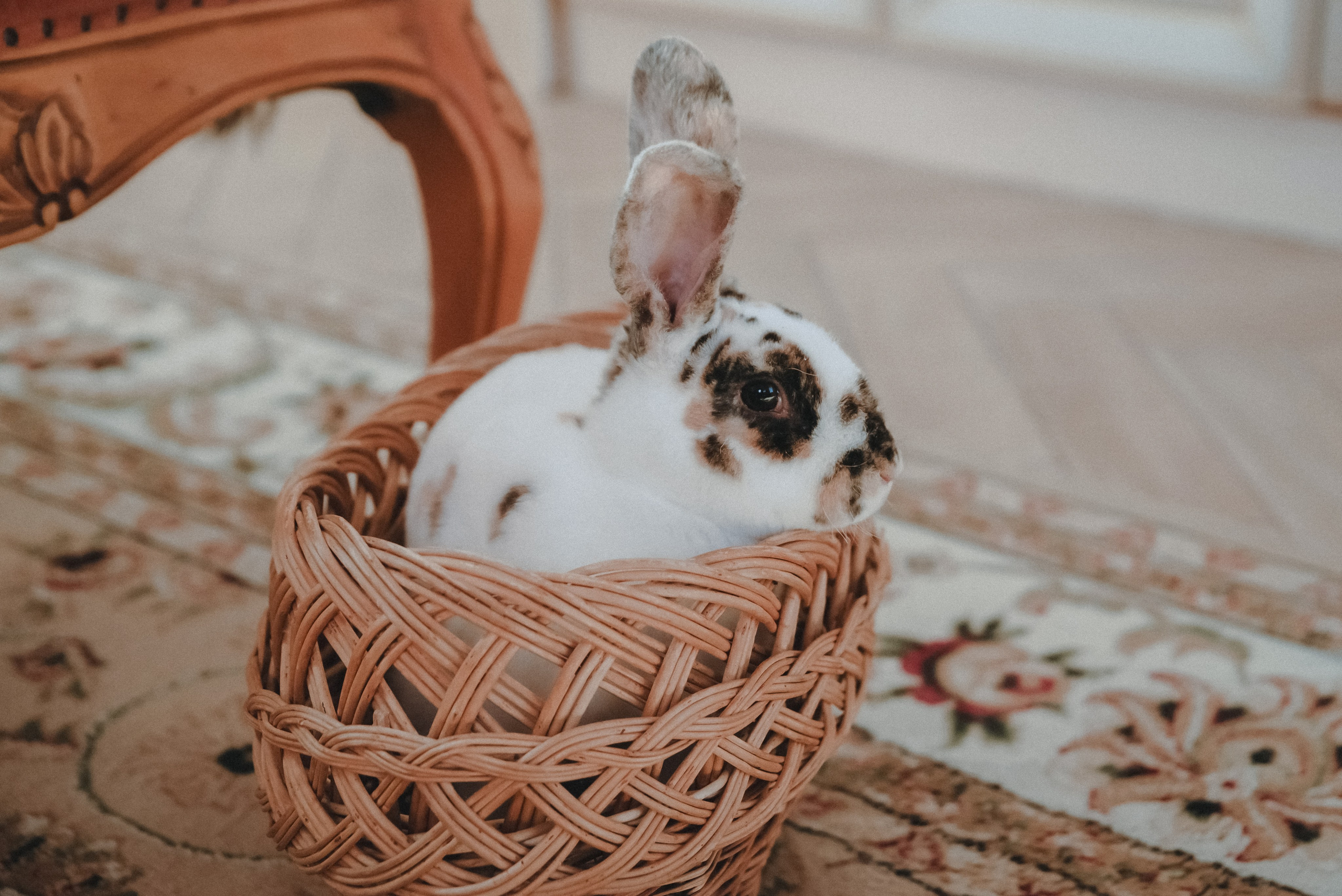 Ольга. Фотограф Крещение Венчание Москва