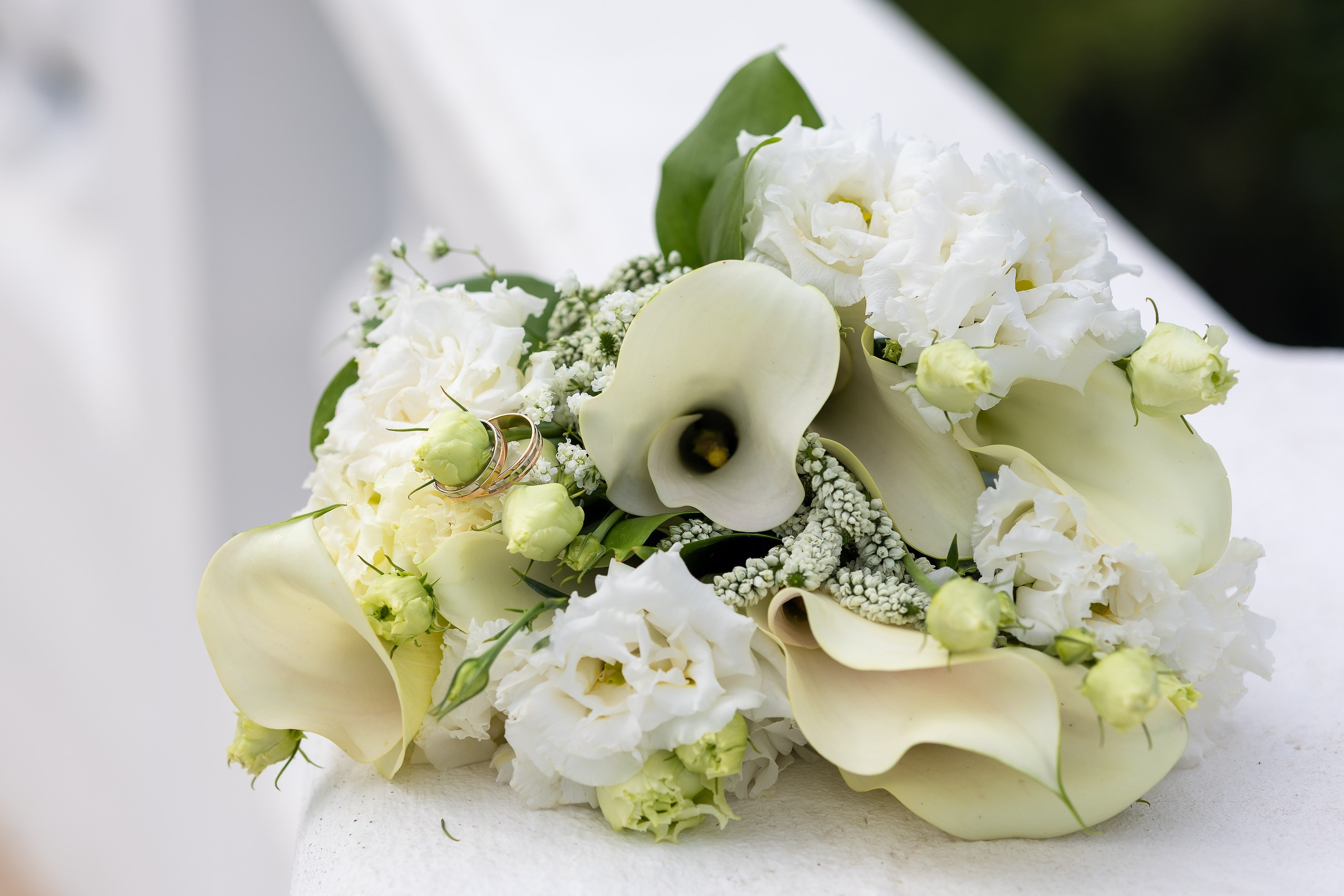 Дворец Бобринских. Свадебная фотосъёмка в Москве, Туле