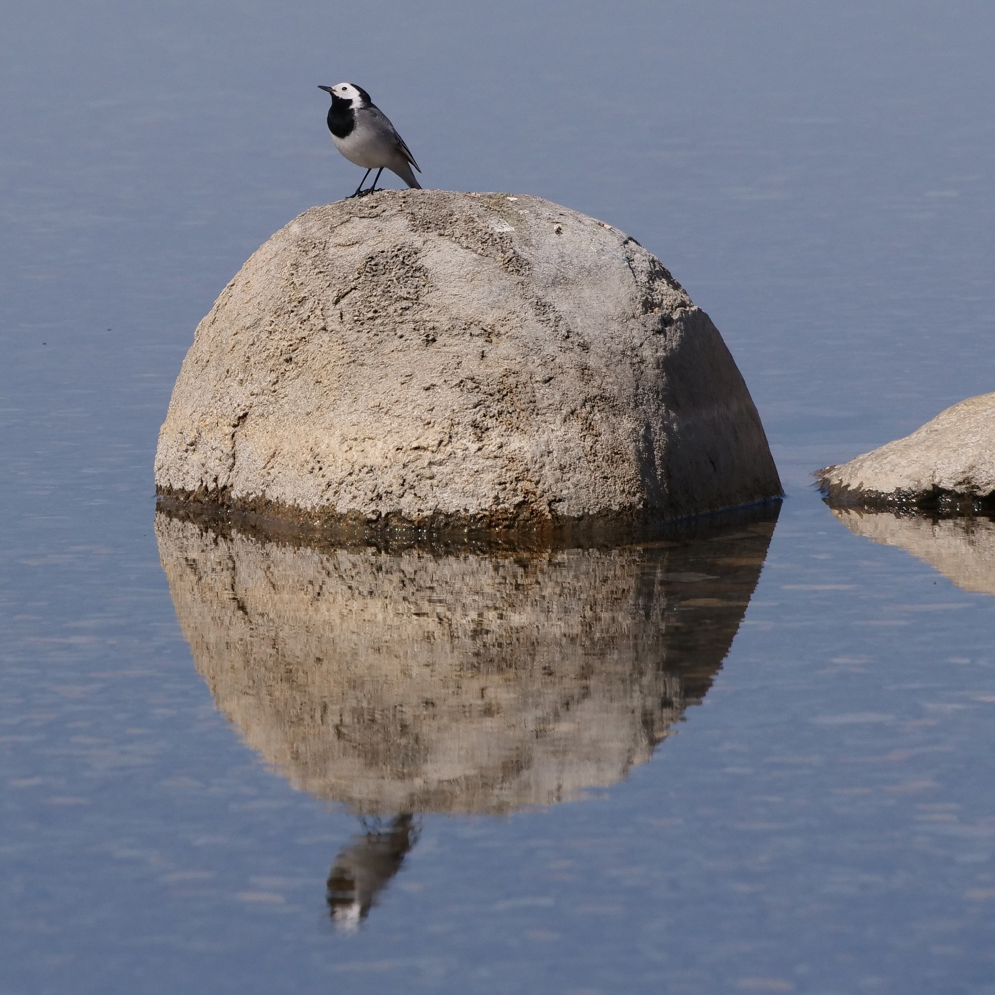 Боровое 2021 (из архива). Избранные фотографии