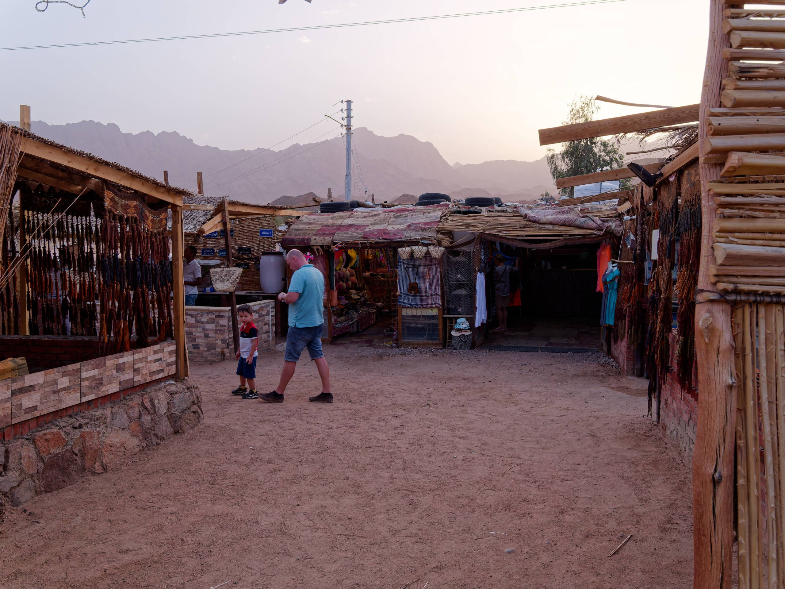 Шарм-эль-Шейх 2022, сафари. Избранные фотографии