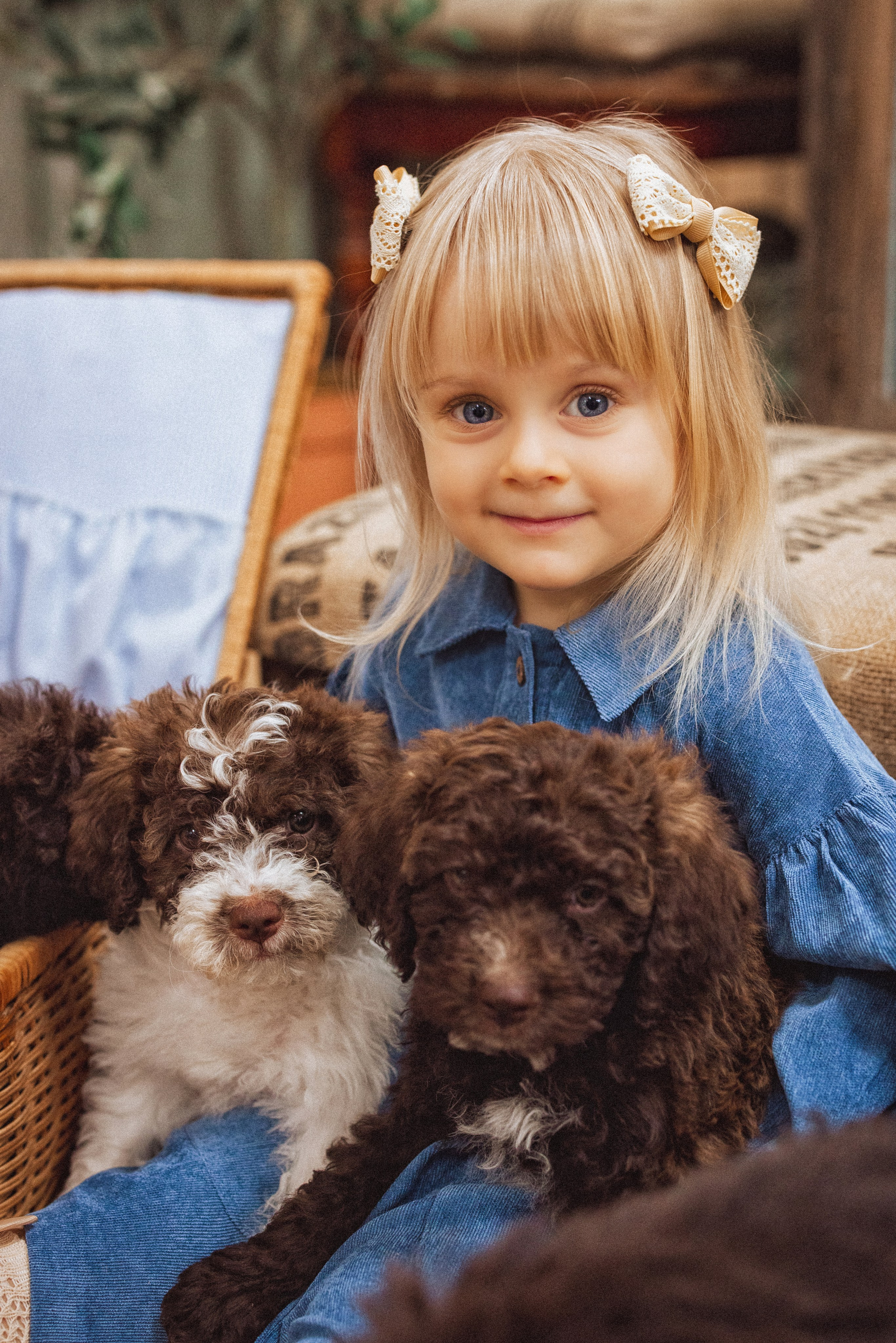 Фотосессия с щенками Лаго́тто-романьо́ло, в Винтажной фотостудии город Краснодар. Семейный и детский фотограф в Краснодаре Анна Трашкова