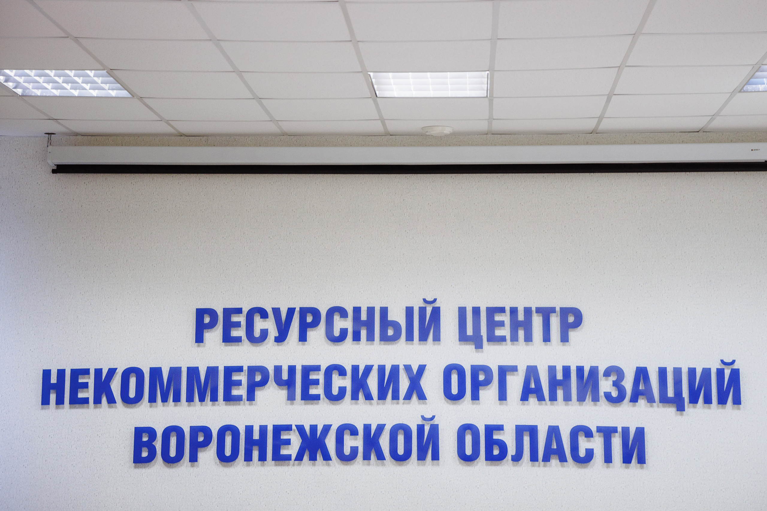 Отзывы. Свадебный фотограф Денис Перминов в Воронеже