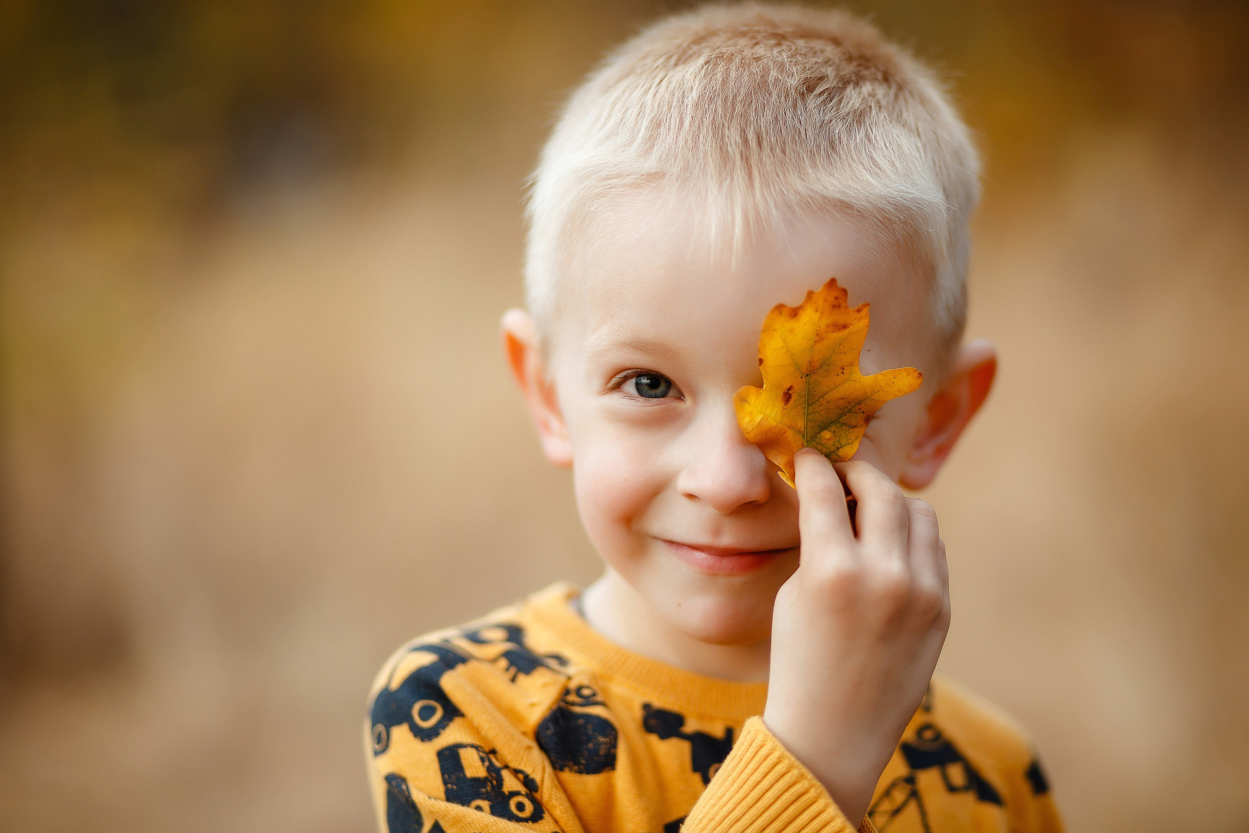 Детские и семейные фотографии. Свадебный фотограф Денис Перминов в Воронеже