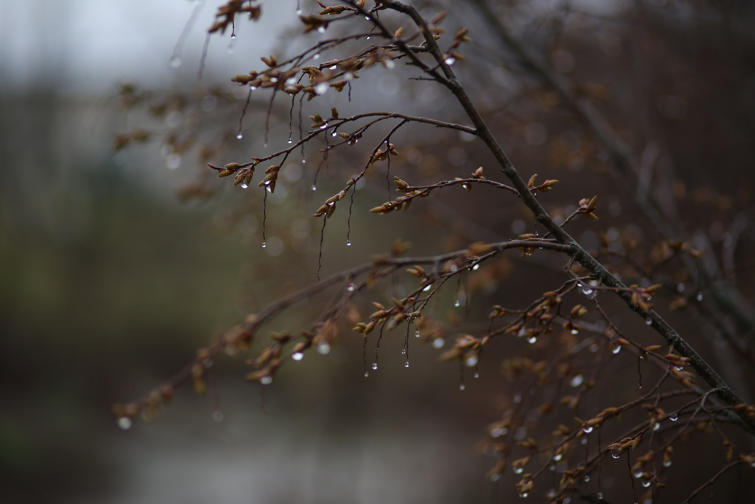 Крым. Фотограф в г. Сургуте Марина Киприна
