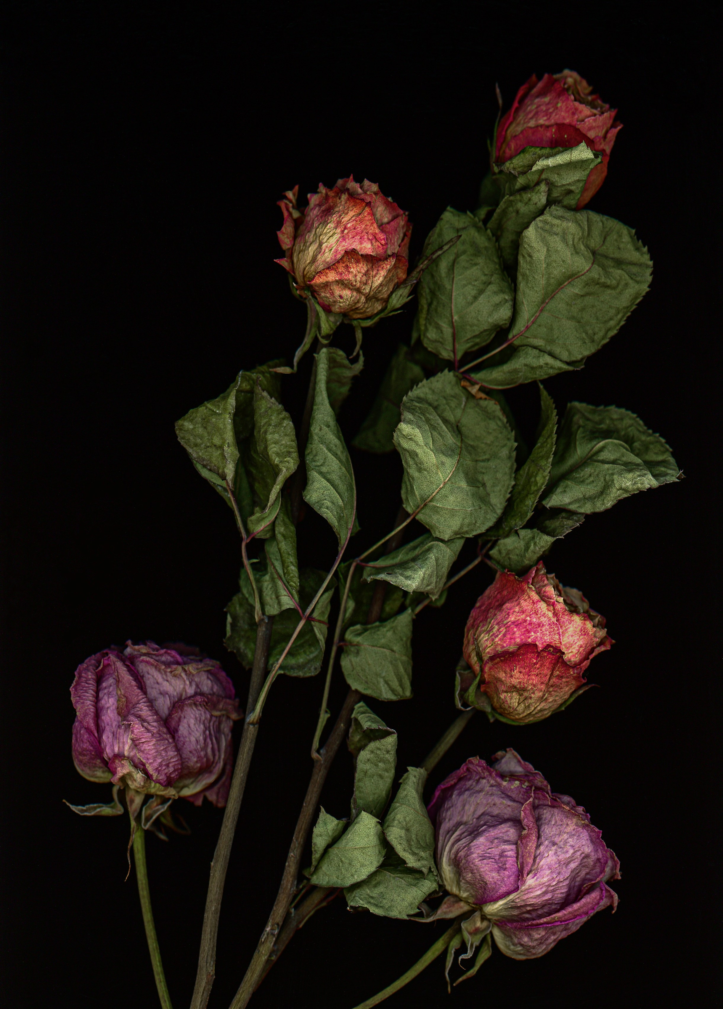 Поэзия цветов. Портретный фотограф в Челябинске Катерина Руди