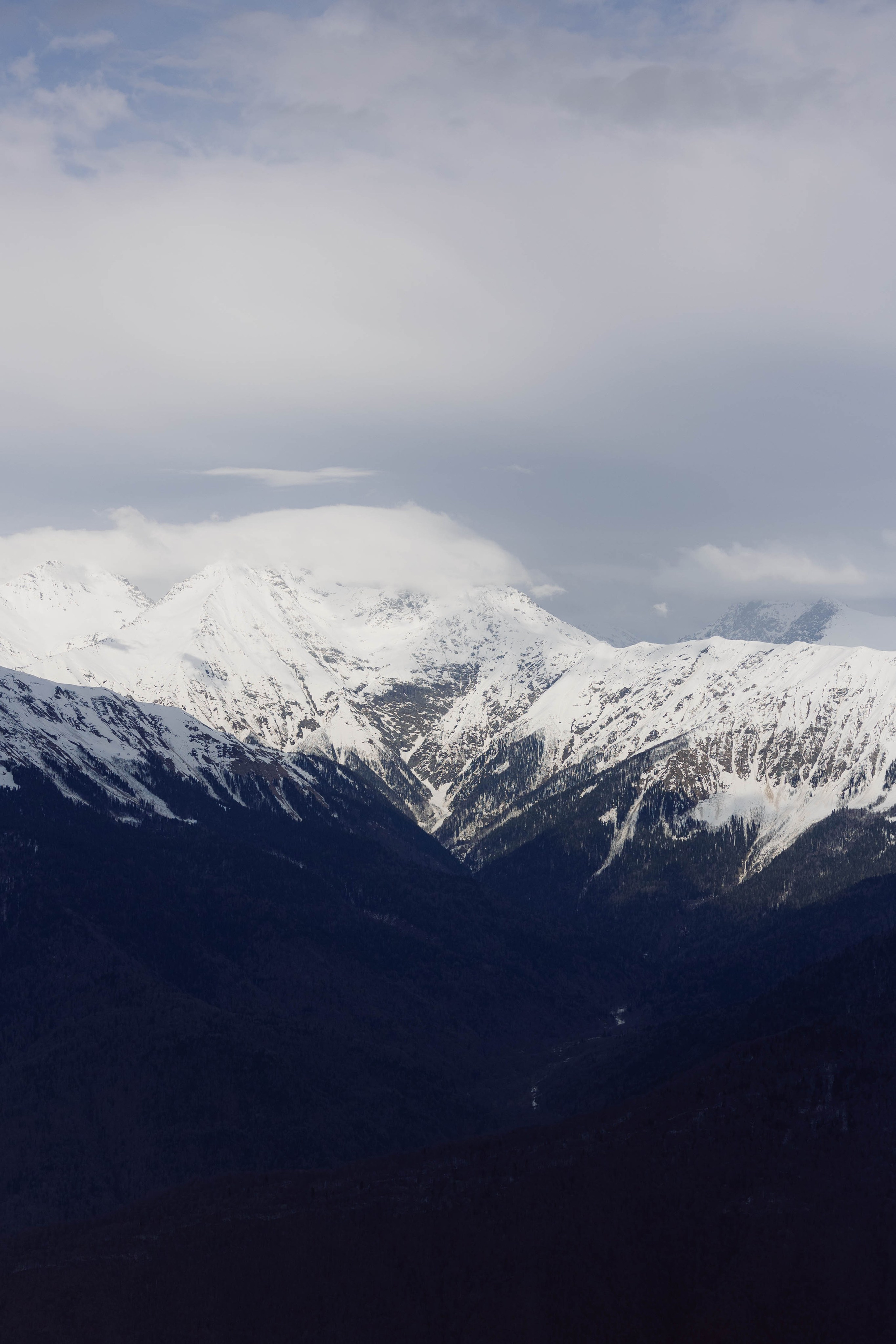 Конференция и ужи. Кормовит. Роза хутор. Фотограф Юсова Мария